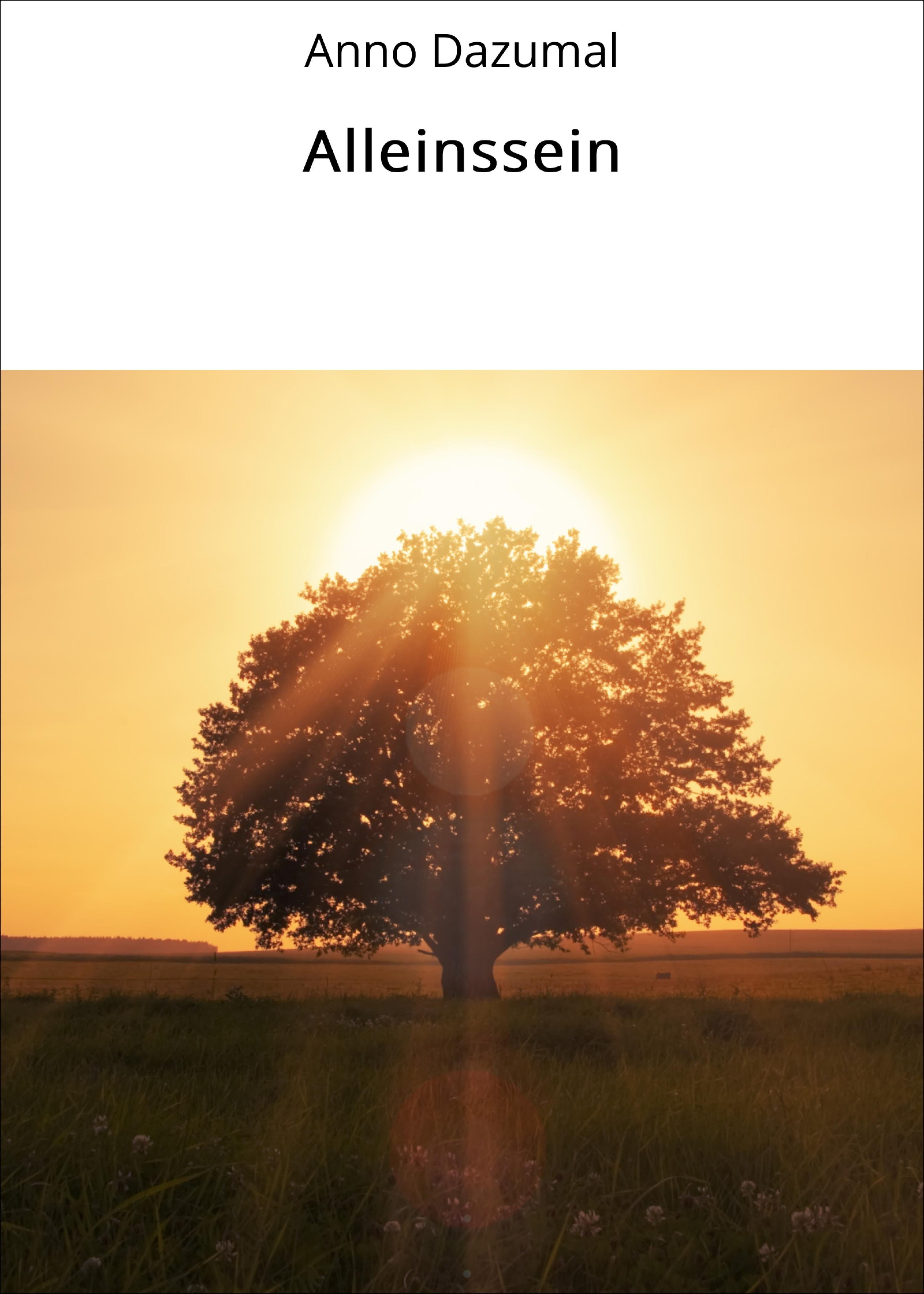 Обложка книги «Alleinssein»