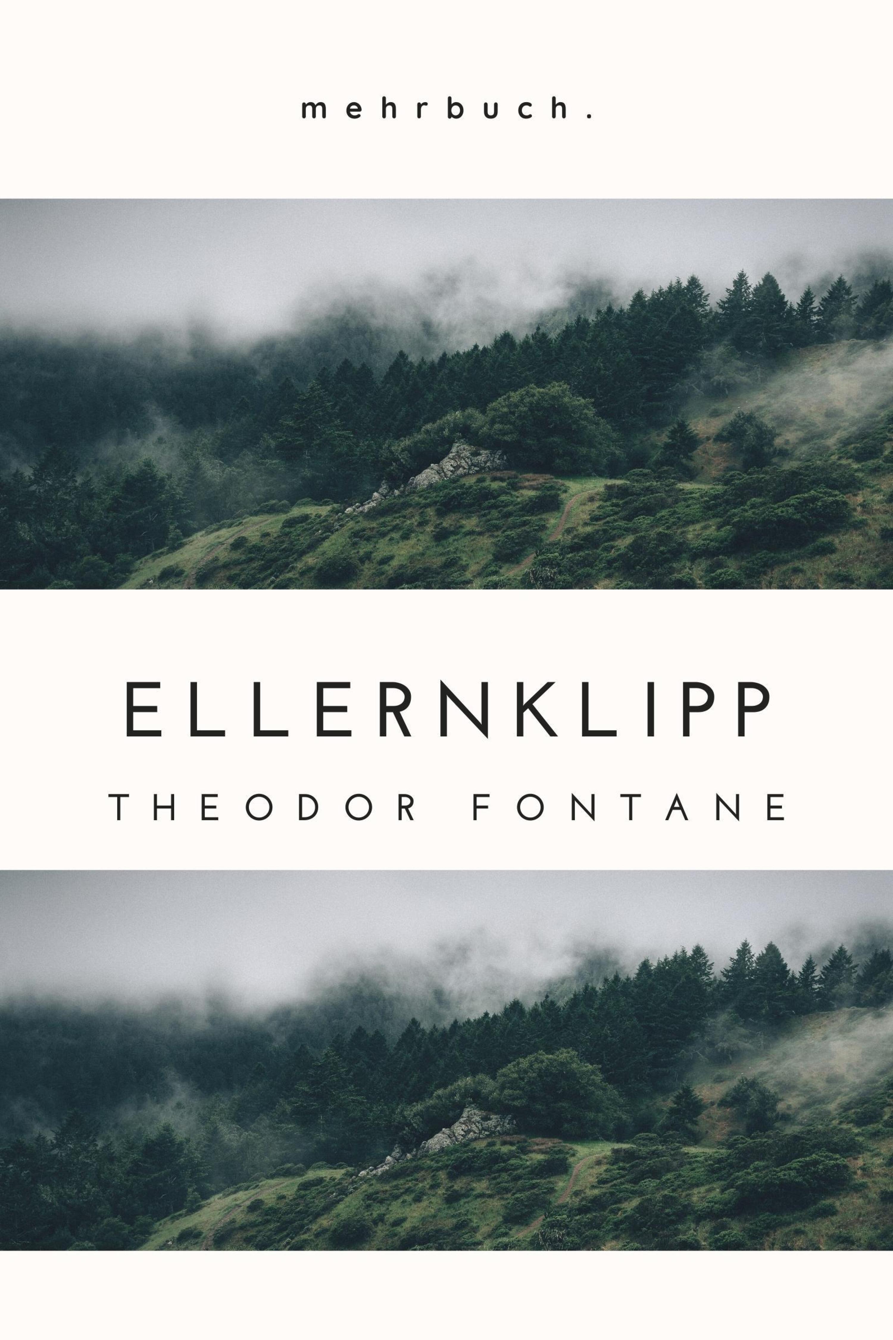 Обложка книги «Ellernklipp»
