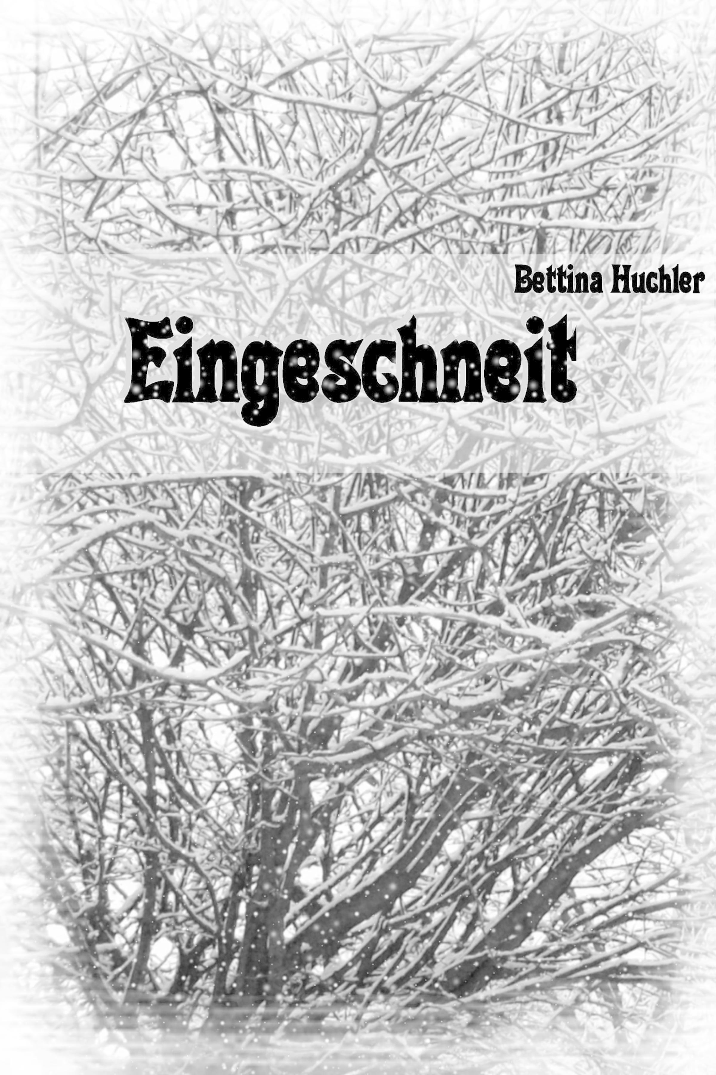 Обложка книги «Eingeschneit»