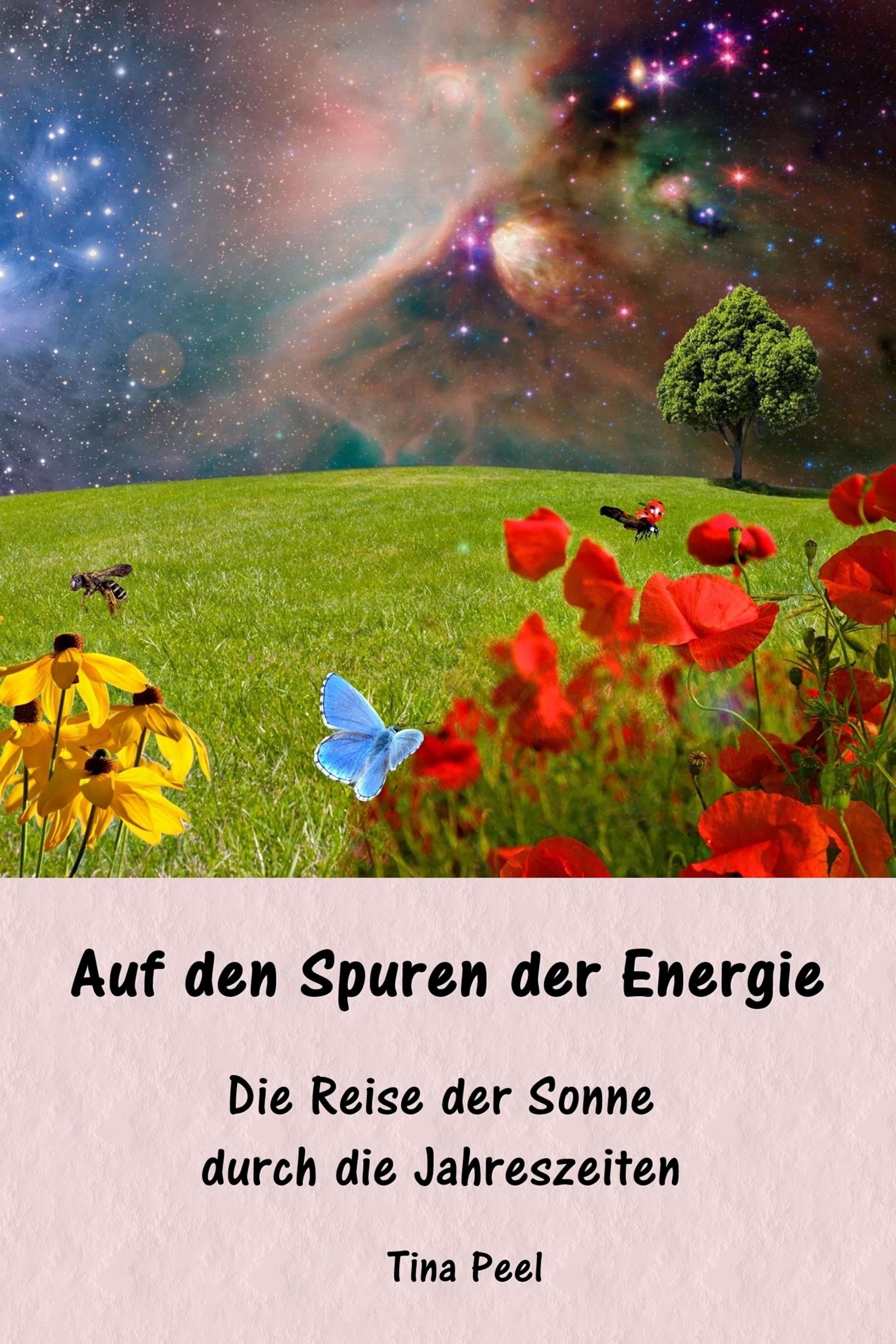 Обложка книги «Auf den Spuren der Energie»