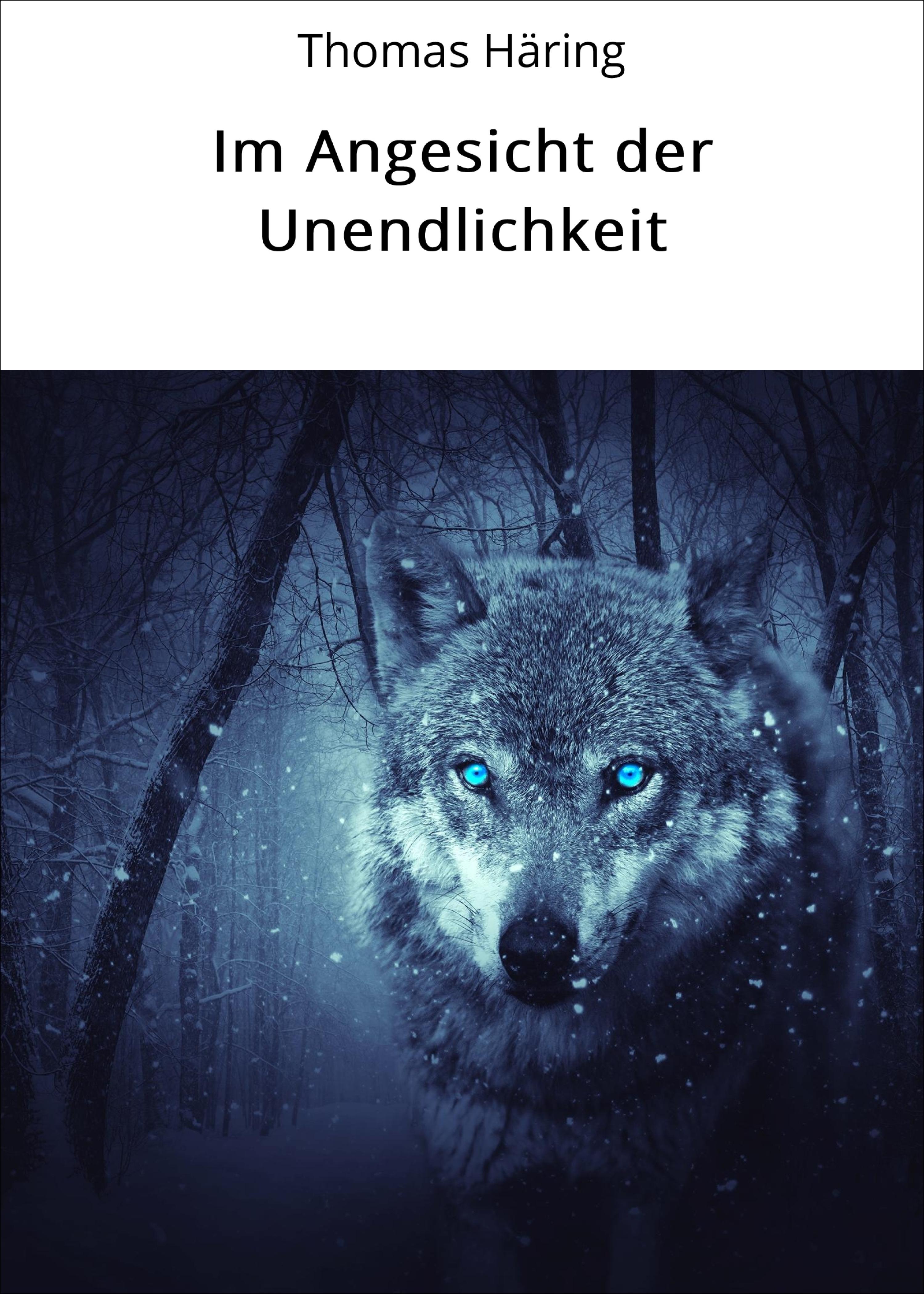 Обложка книги «Im Angesicht der Unendlichkeit»