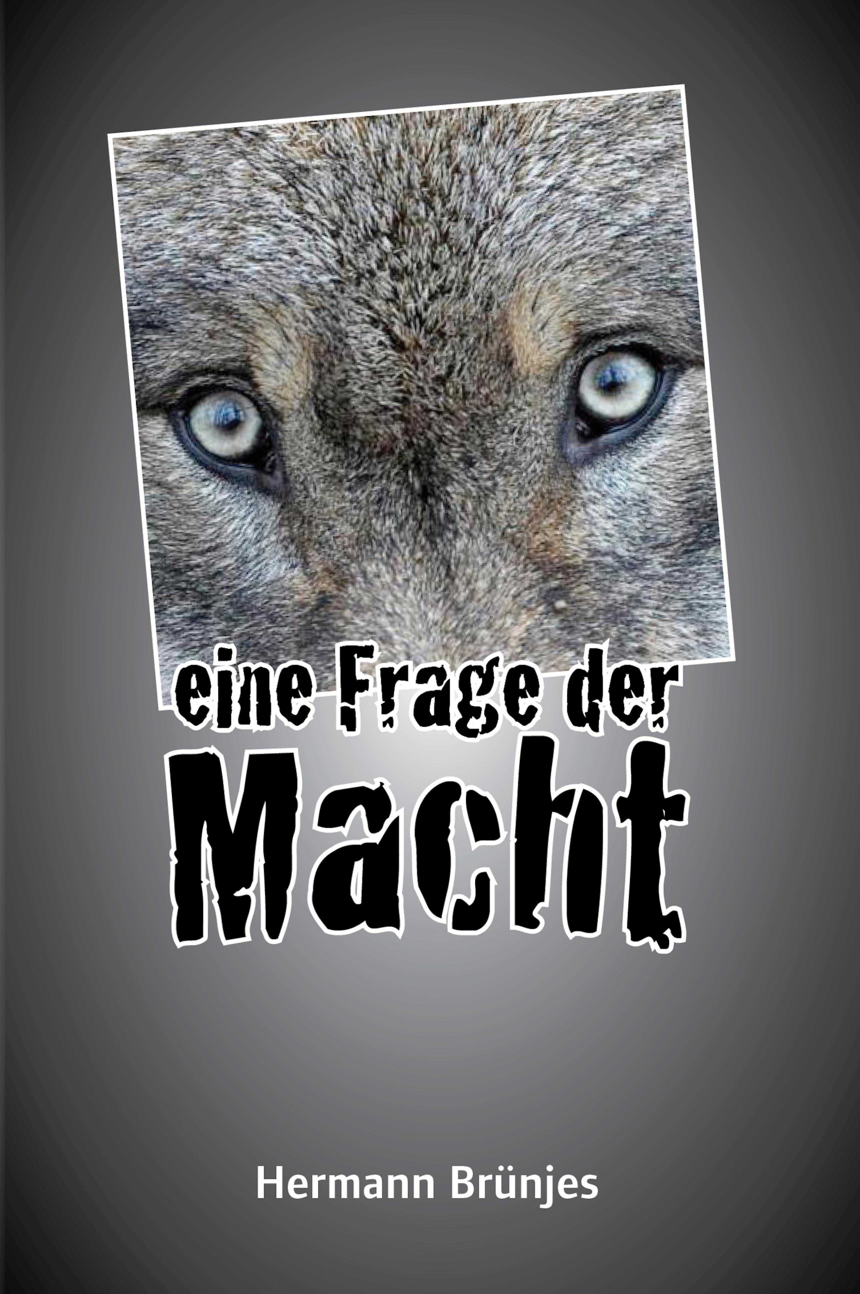 Обложка книги «Eine Frage der Macht»
