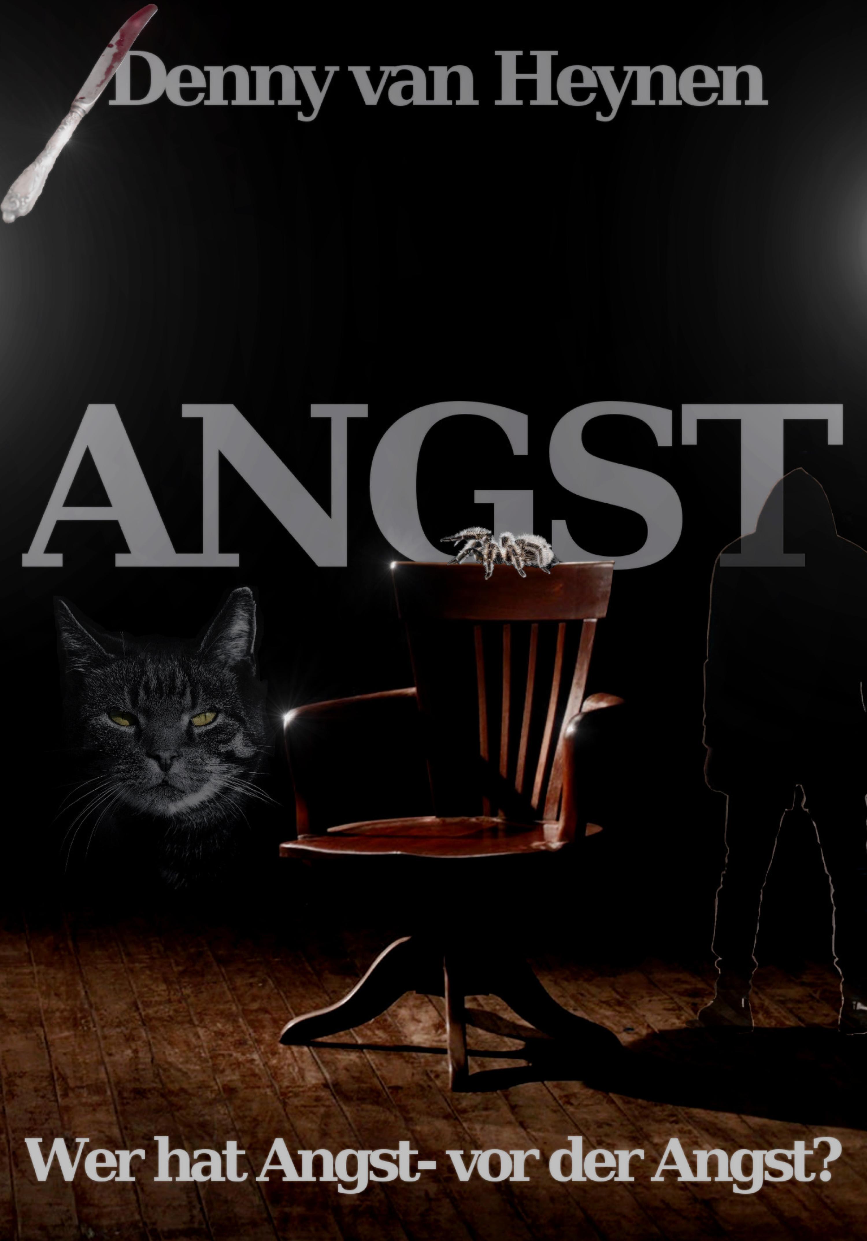 Обложка книги «Angst»