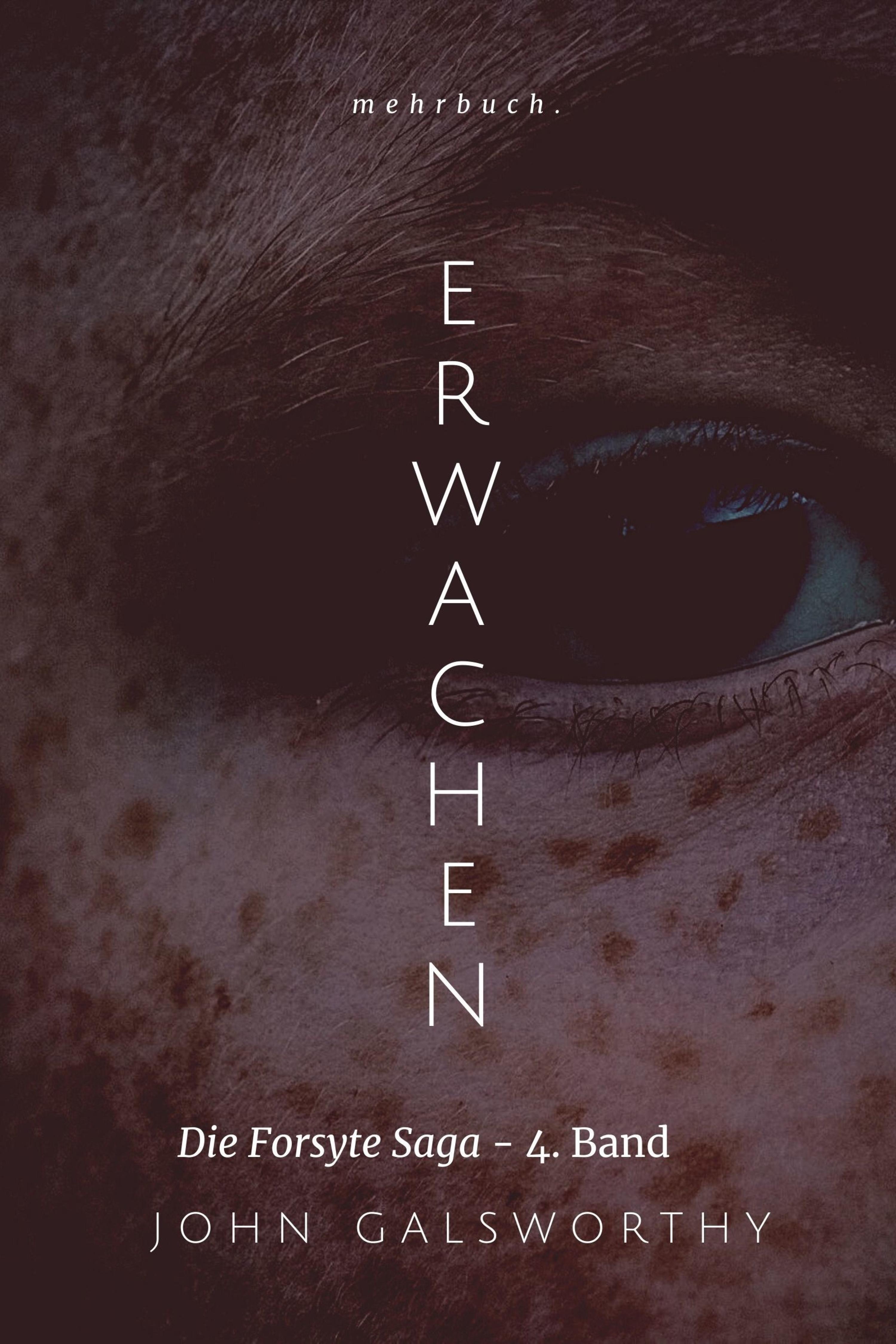 Обложка книги «Erwachen»