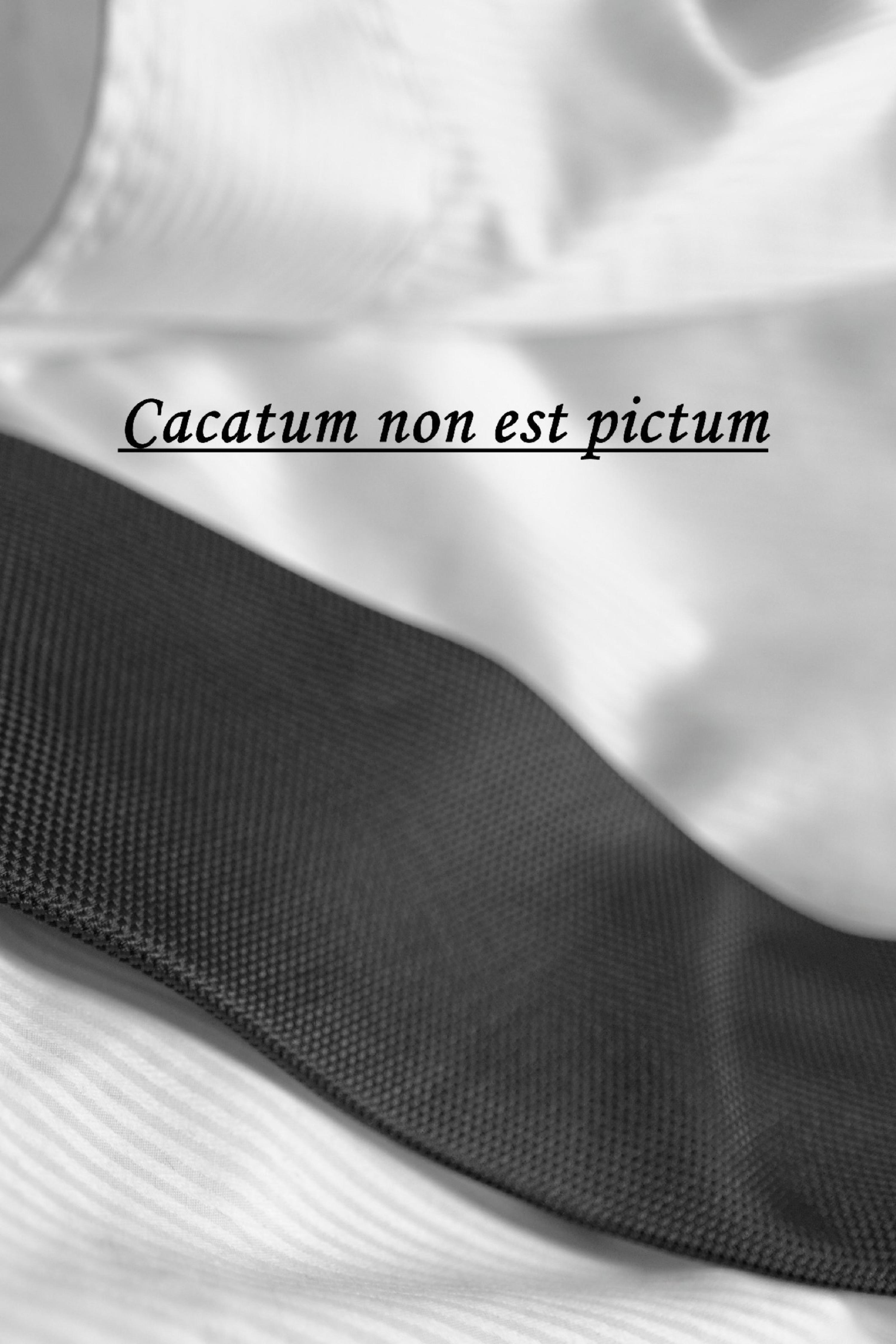 Обложка книги «Cacatum non est pictum»