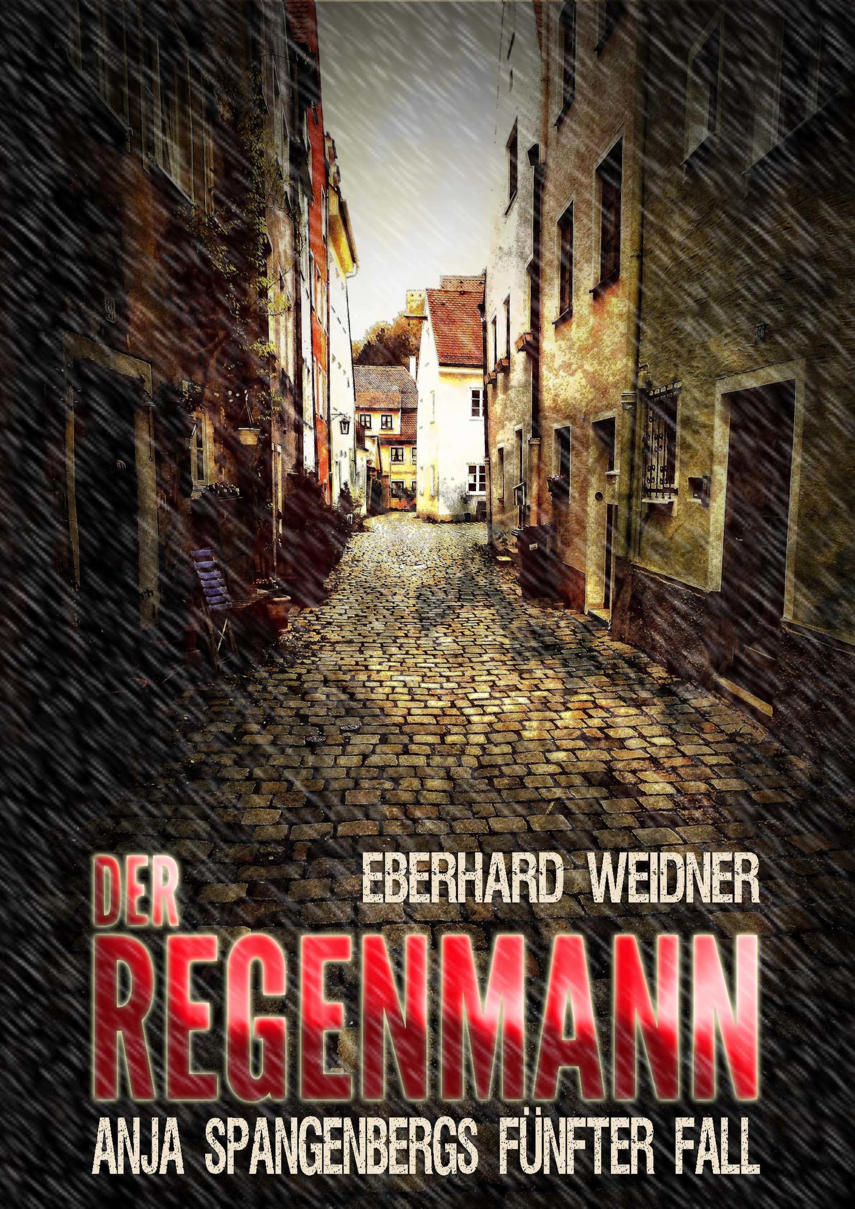 Обложка книги «DER REGENMANN»