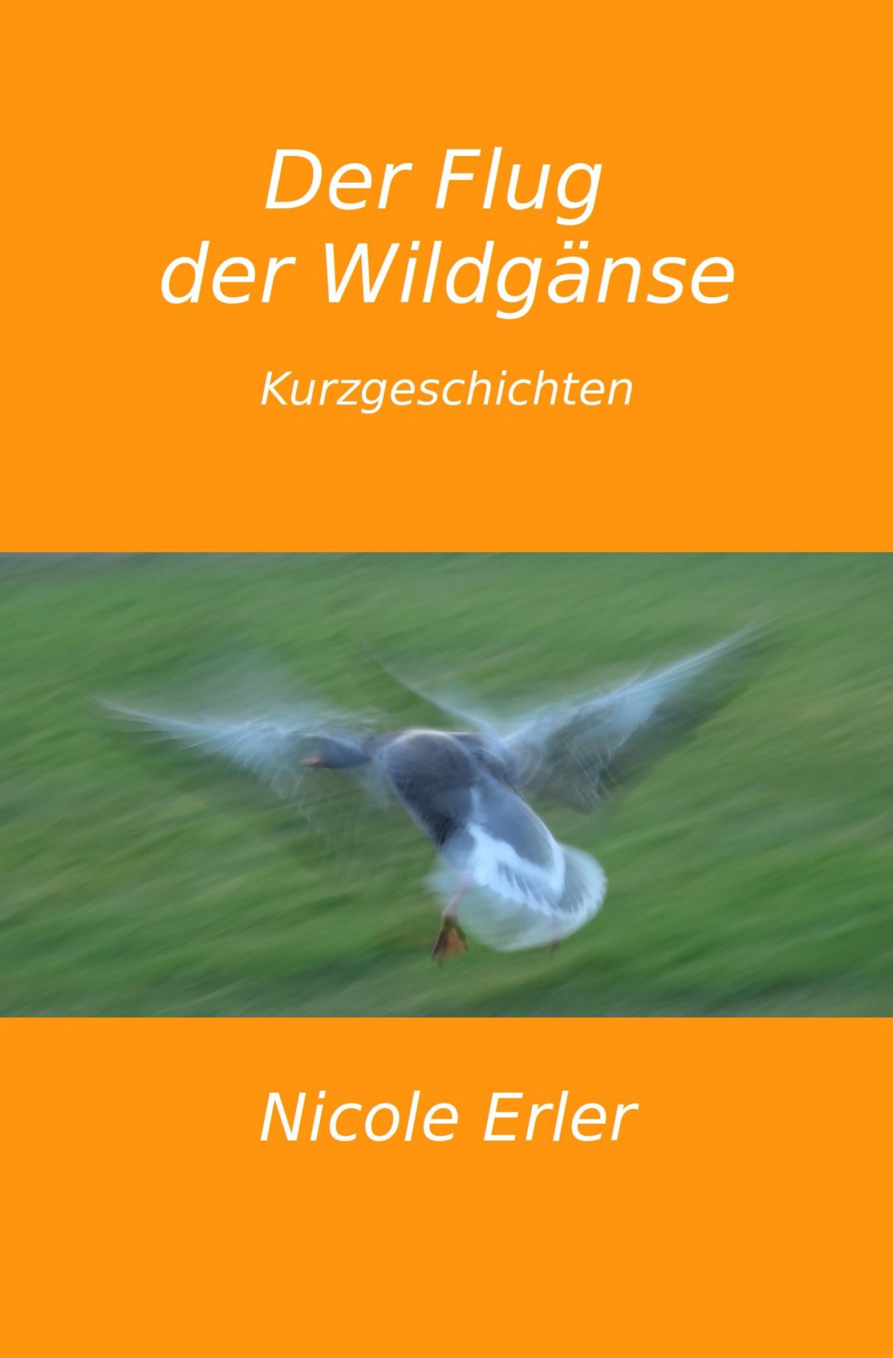 Обложка книги «Der Flug der Wildgänse»
