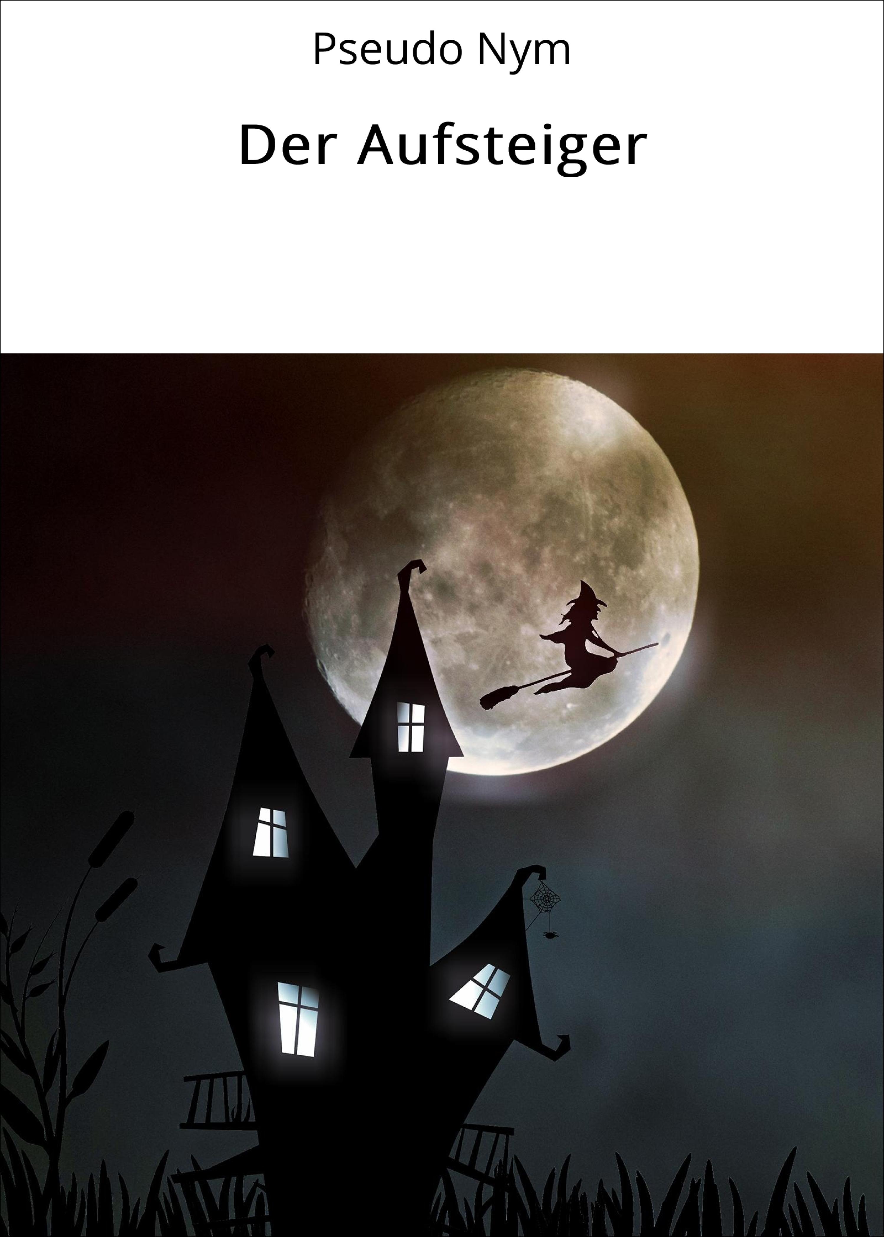 Обложка книги «Der Aufsteiger»