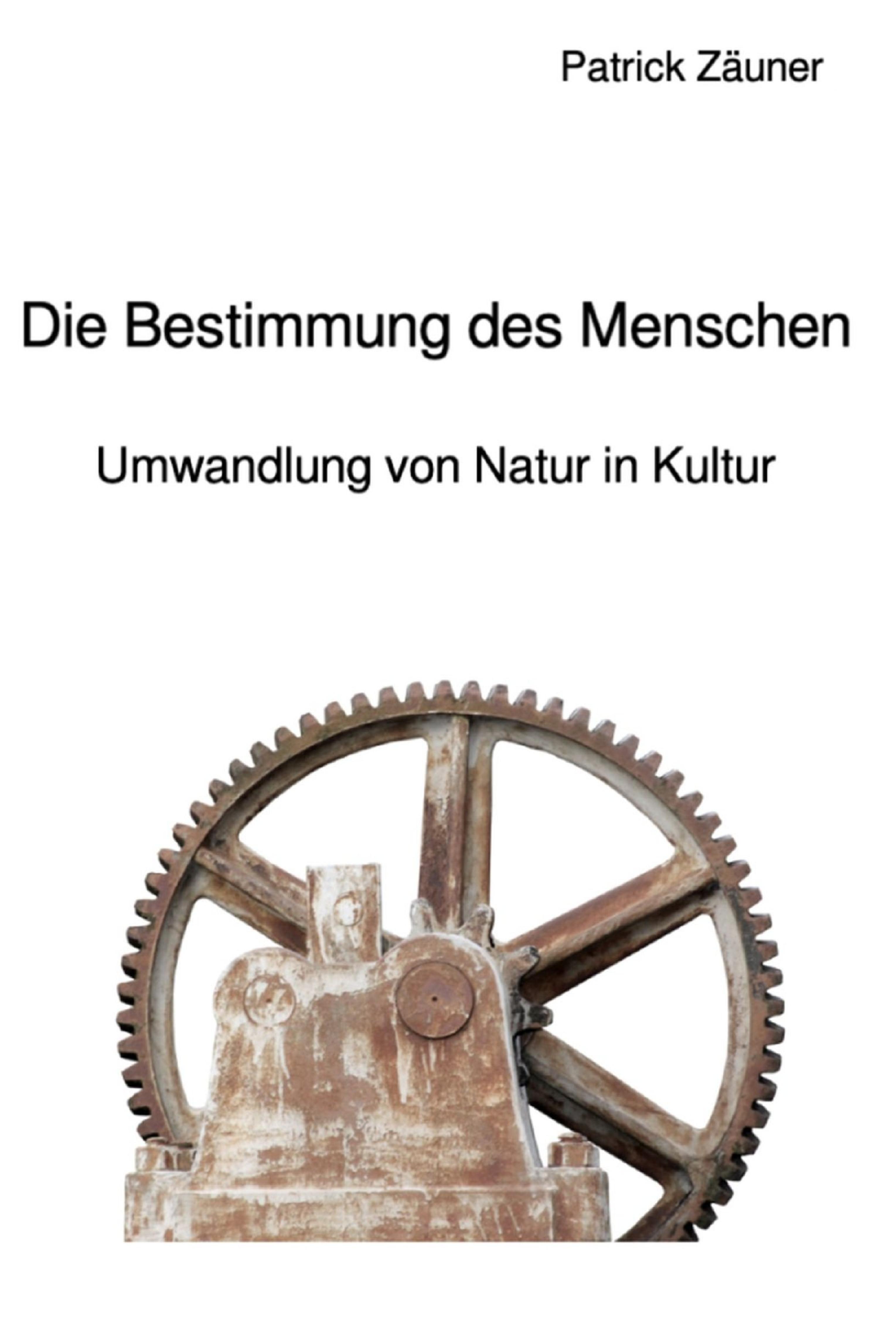 Обложка книги «Die Bestimmung des Menschen»