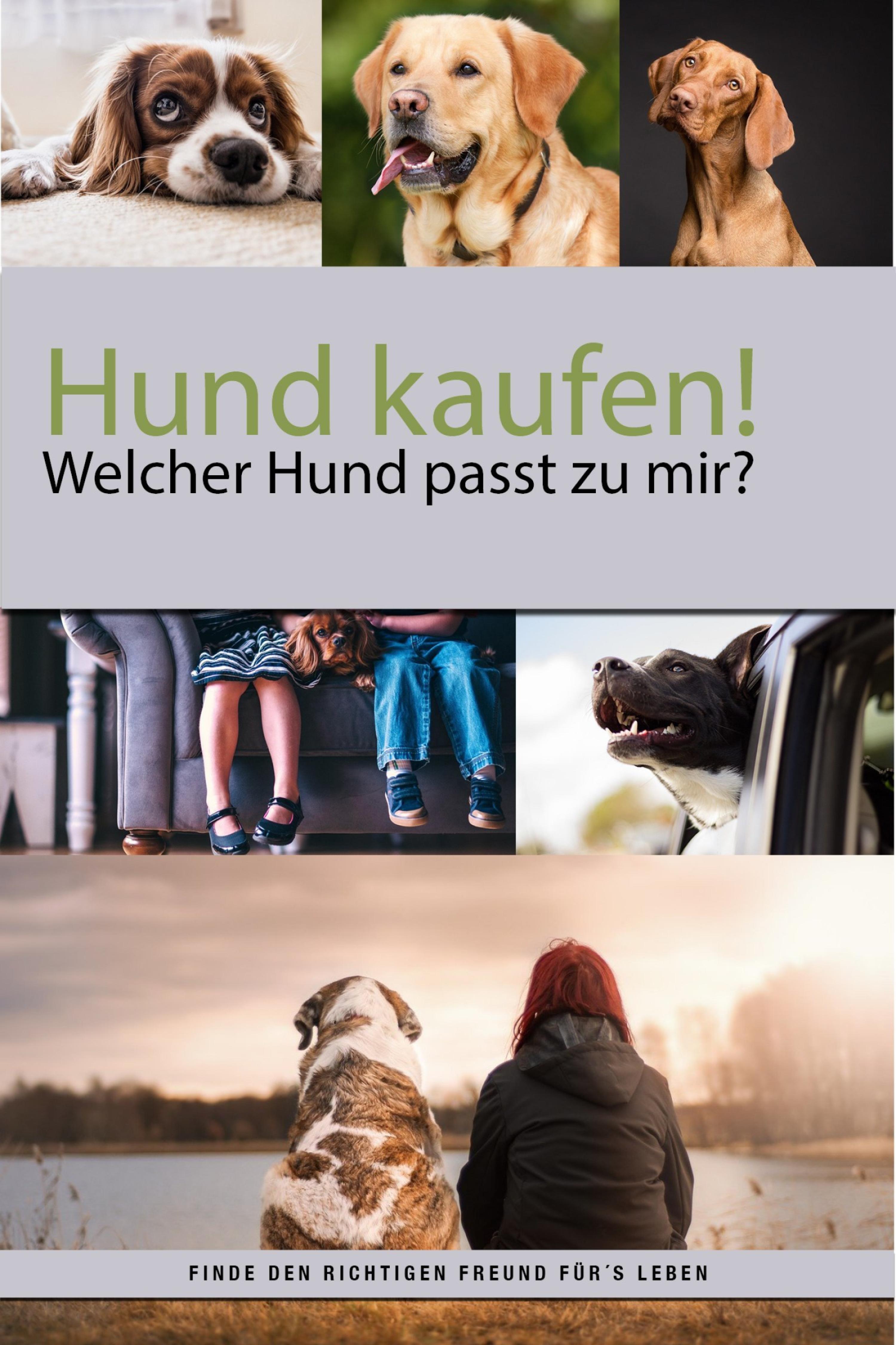 Обложка книги «Hund kaufen aber welcher Hund passt zu mir?»