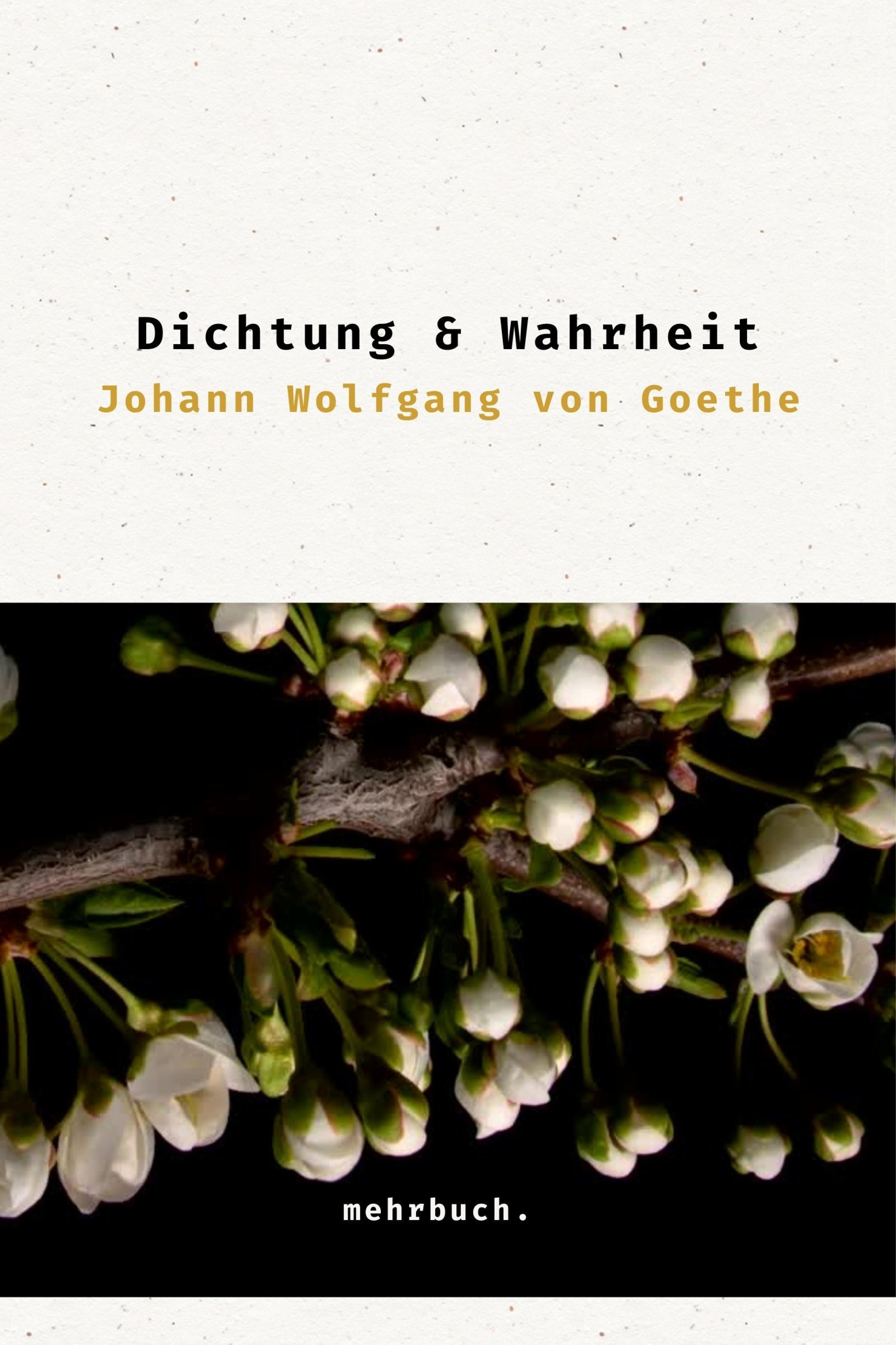 Обложка книги «Dichtung und Wahrheit»