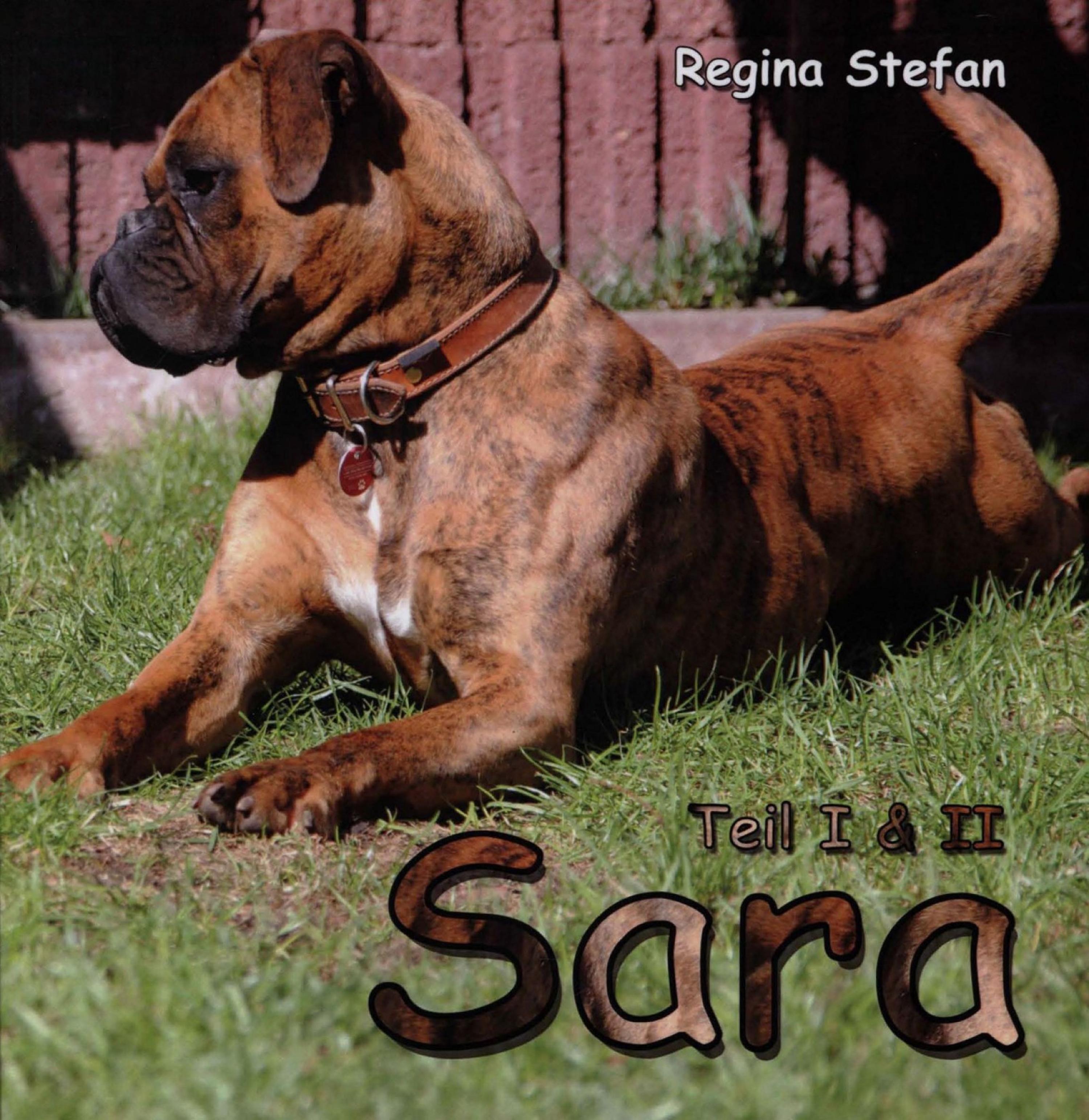 Обложка книги «Sara I + II»