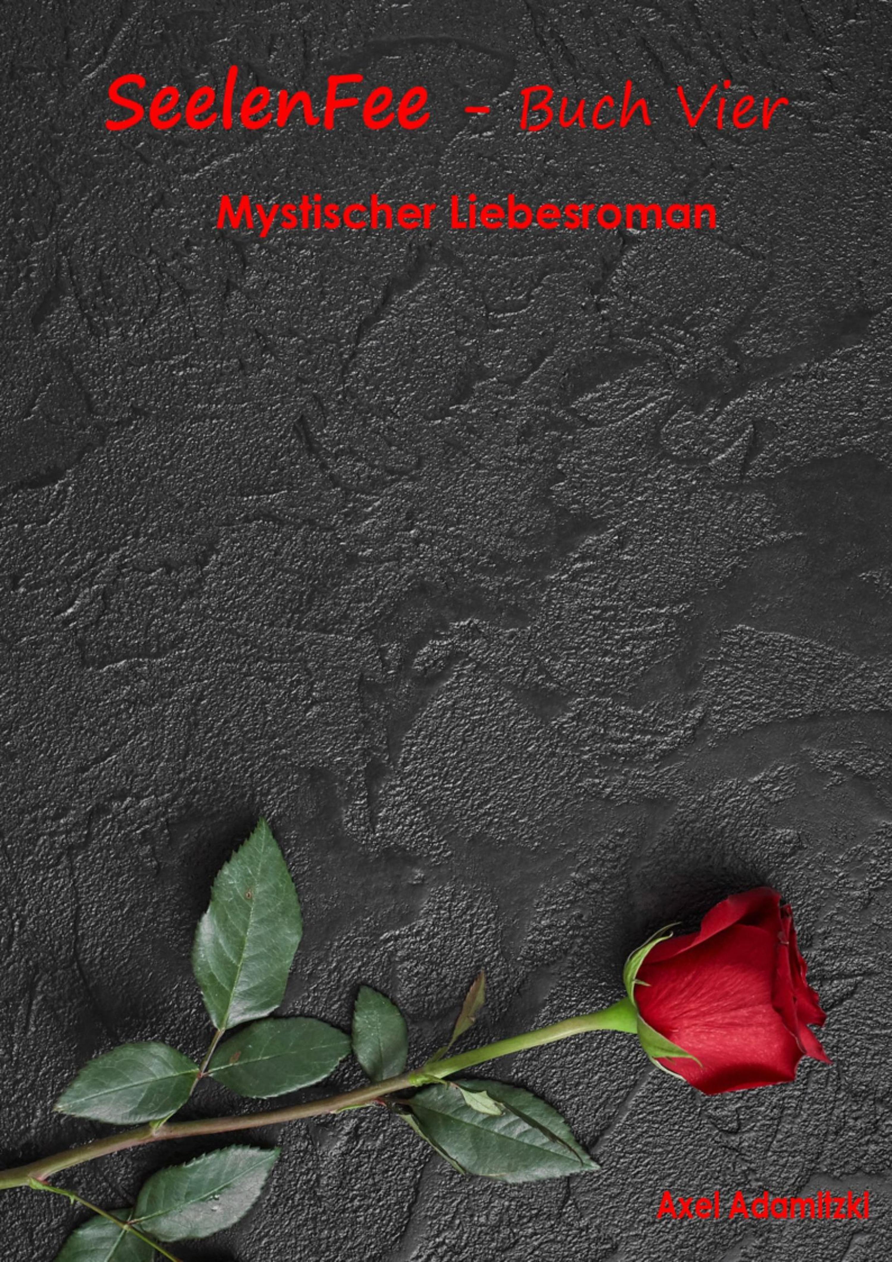Обложка книги «SeelenFee - Buch Vier»