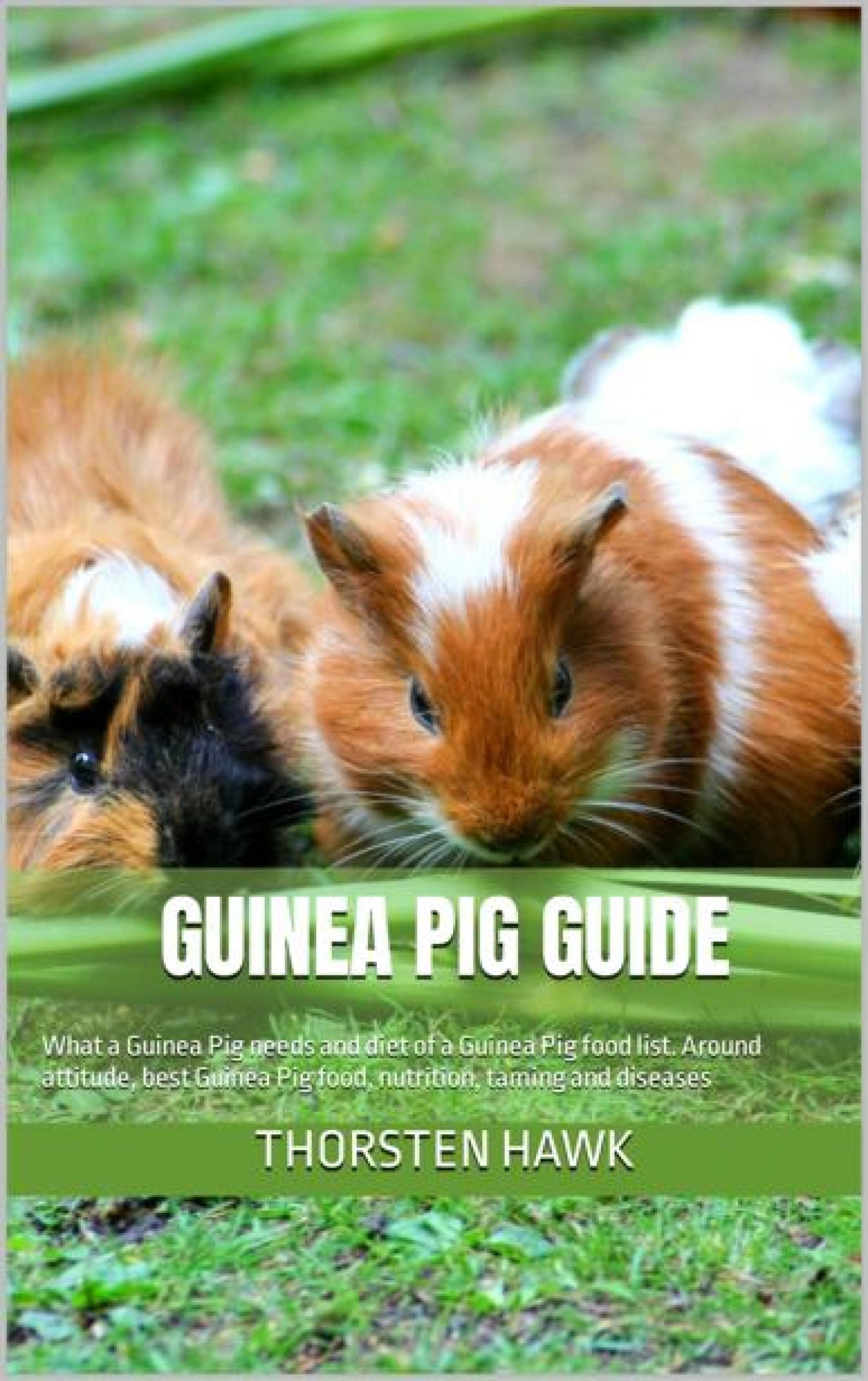 Обложка книги «Guinea Pig Guide»