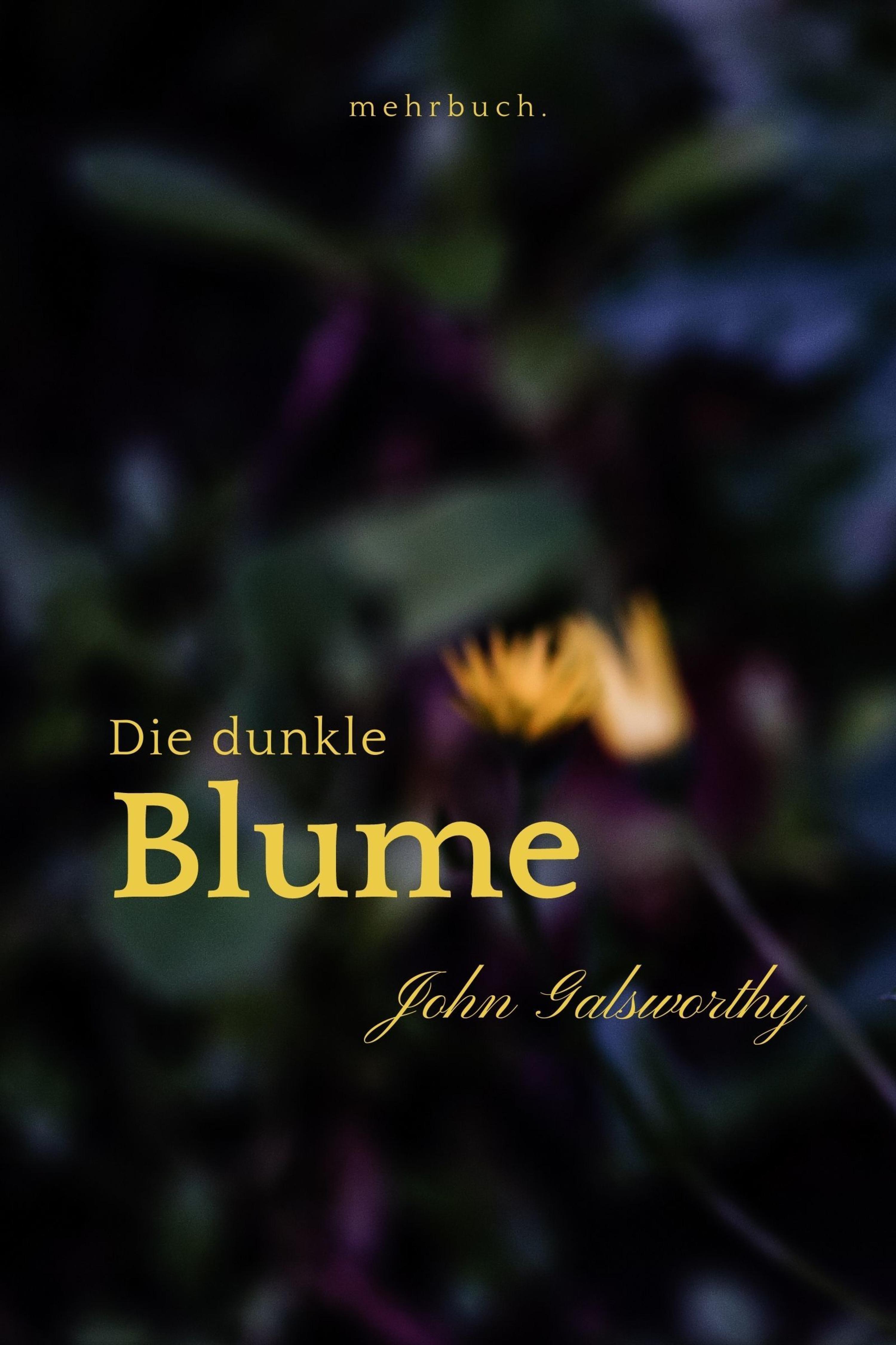Обложка книги «Die dunkle Blume»