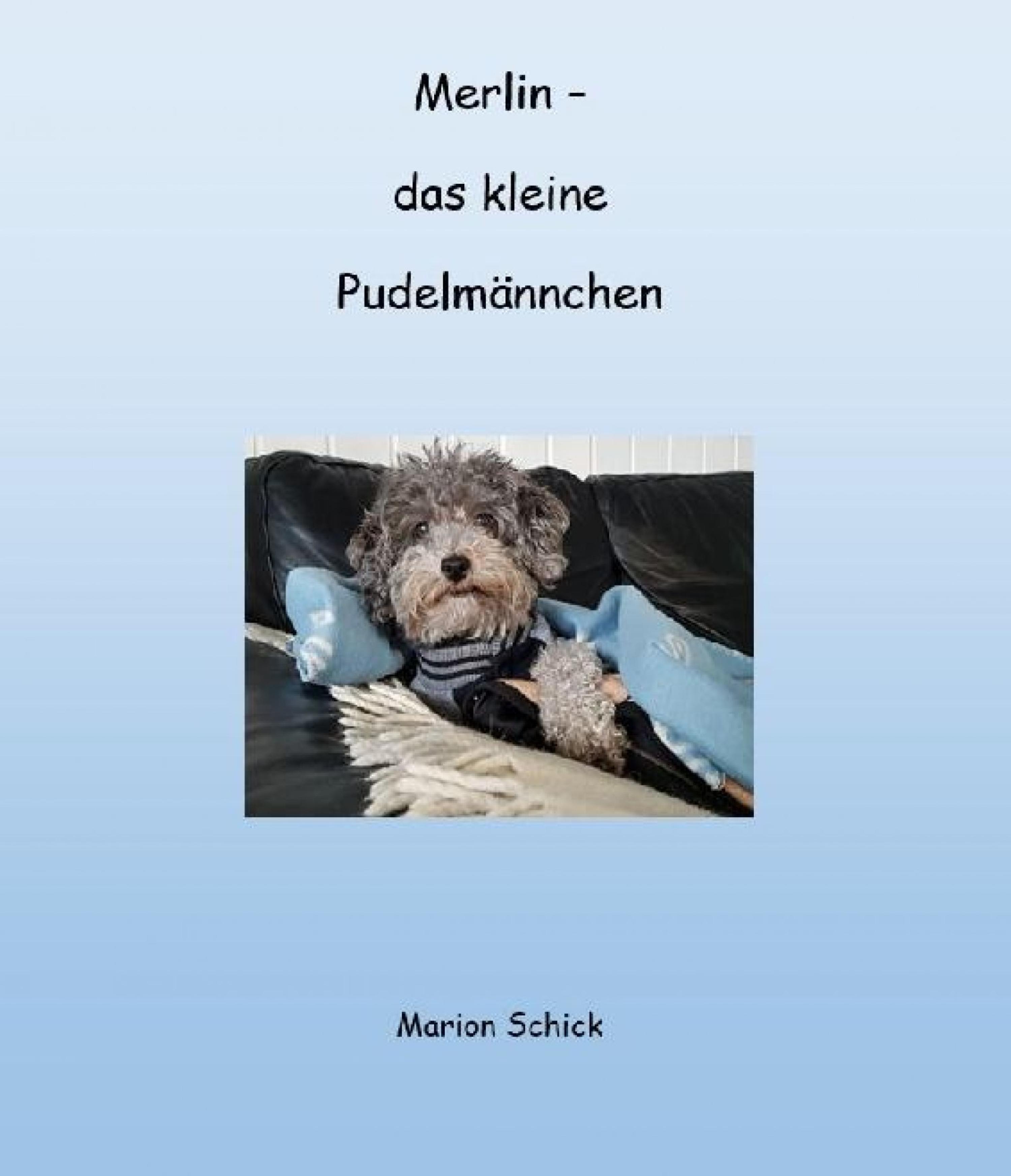 Обложка книги «Merlin - das kleine Pudelmännchen»