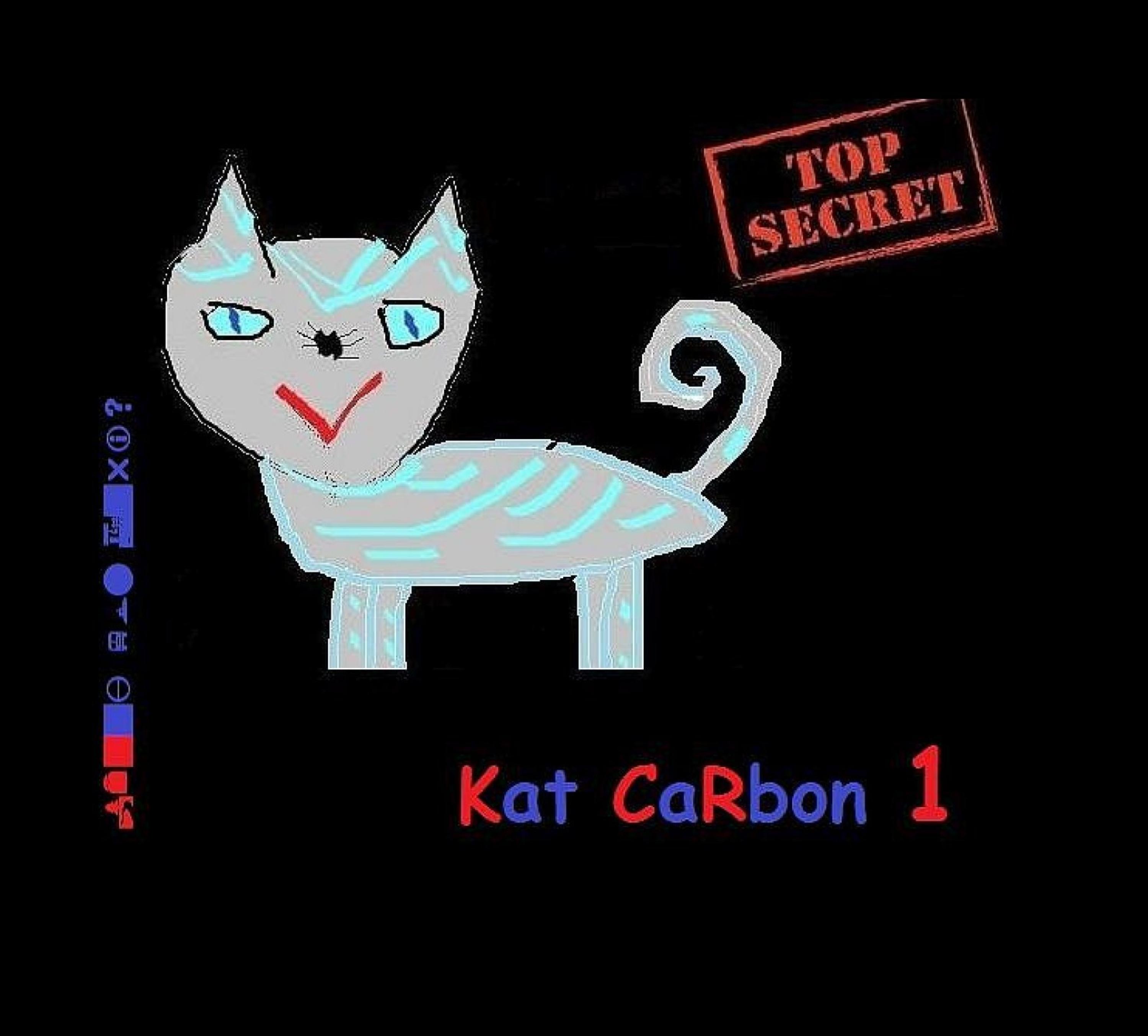 Обложка книги «Kat CaRbon»