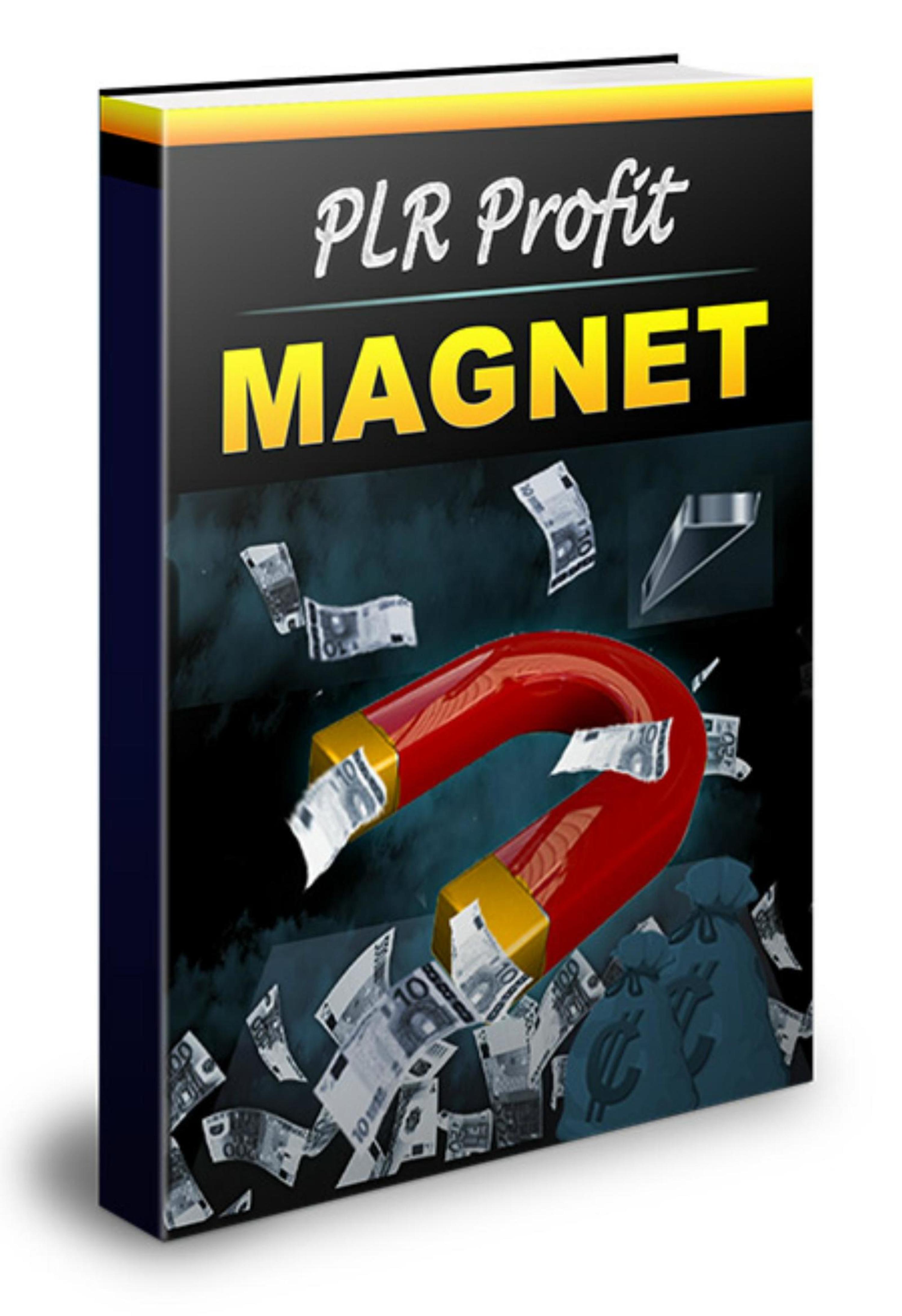 Обложка книги «PLR-Profit Magnet»