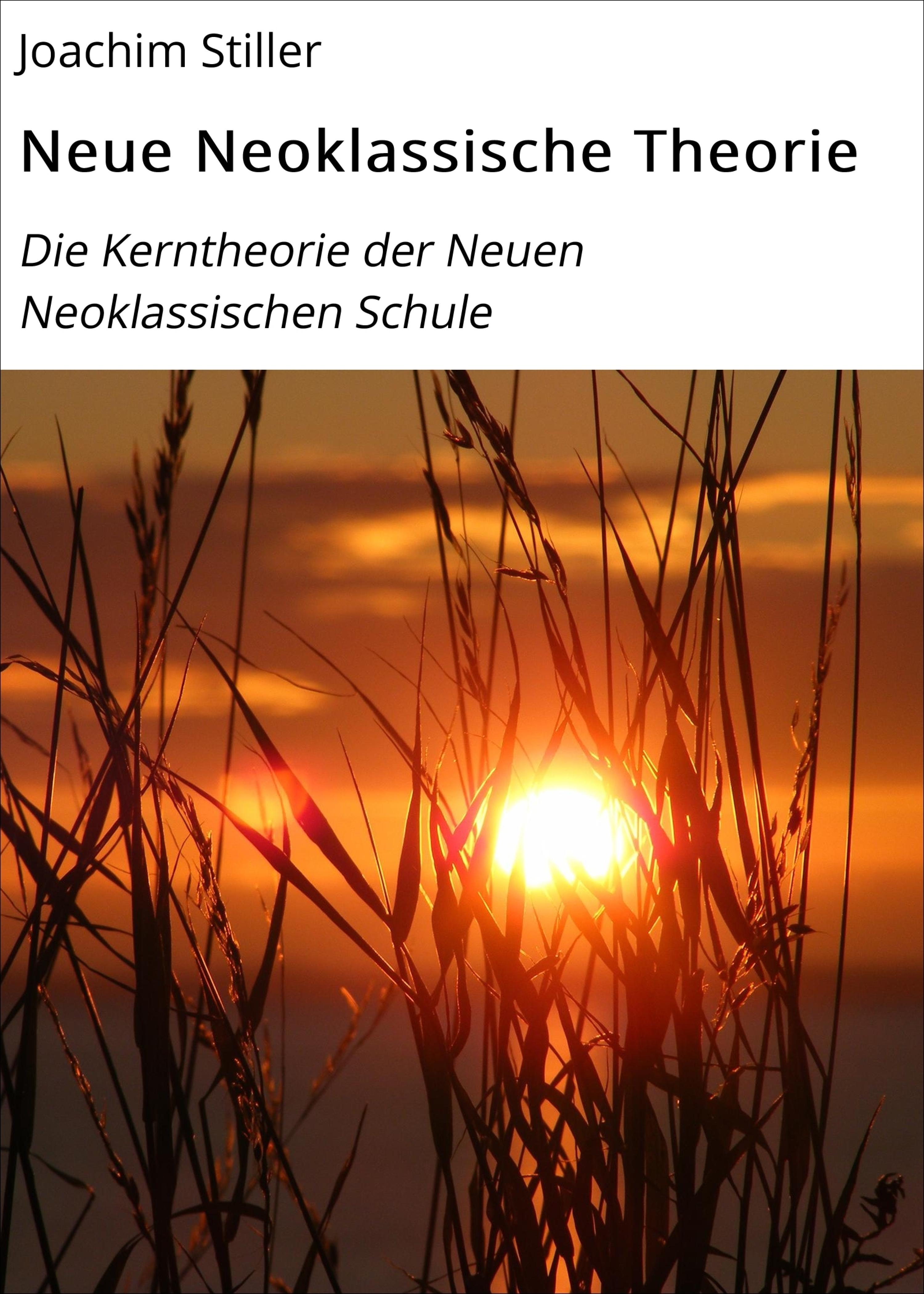 Обложка книги «Neue Neoklassische Theorie»