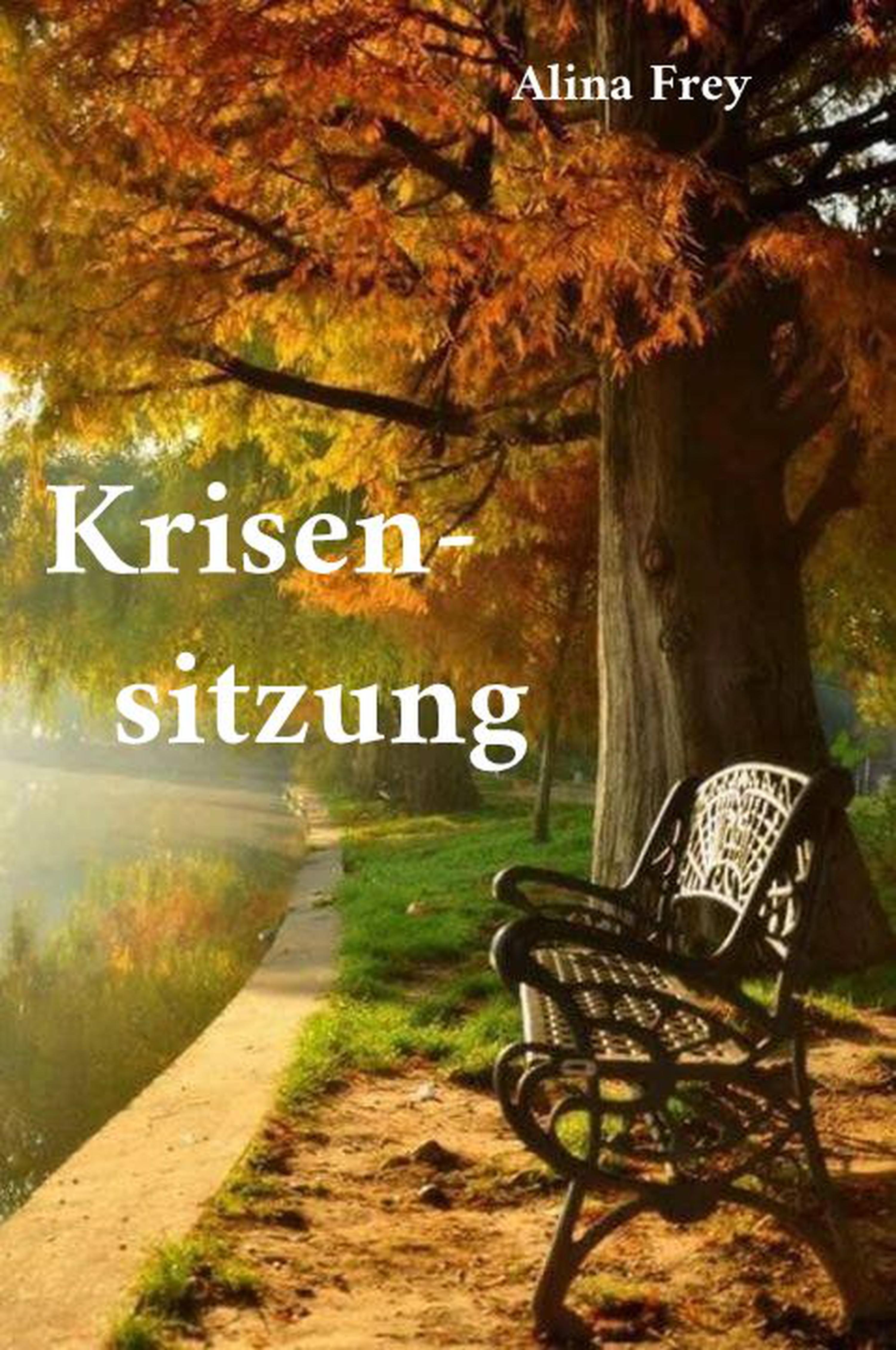 Обложка книги «Krisensitzung»