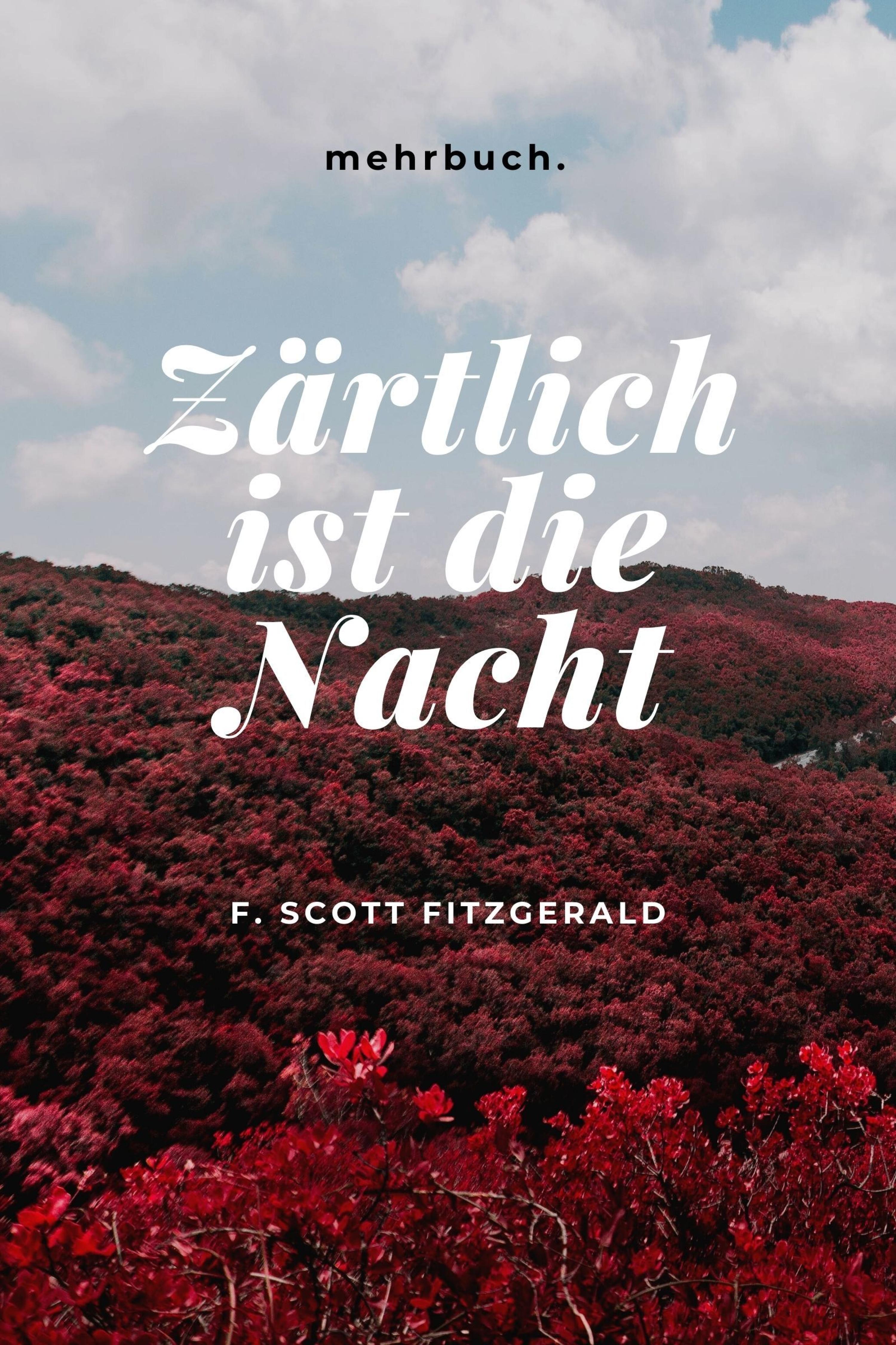 Обложка книги «Zärtlich ist die Nacht»