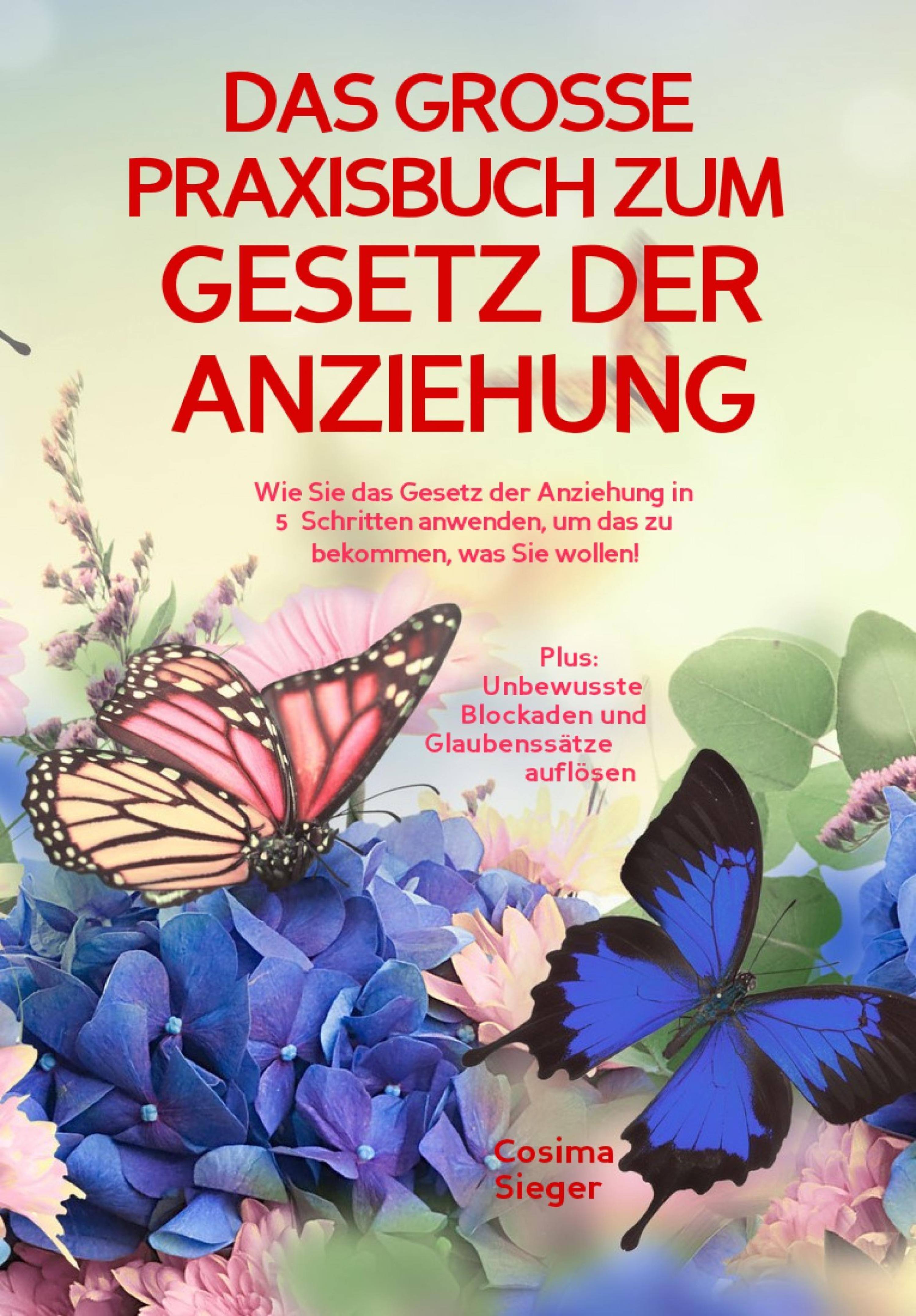 Обложка книги «DAS GROSSE PRAXISBUCH ZUM GESETZ DER ANZIEHUNG! Wie Sie das Gesetz der Anziehung in 5 Schritten anwenden, um das zu bekommen, was Sie wollen!»