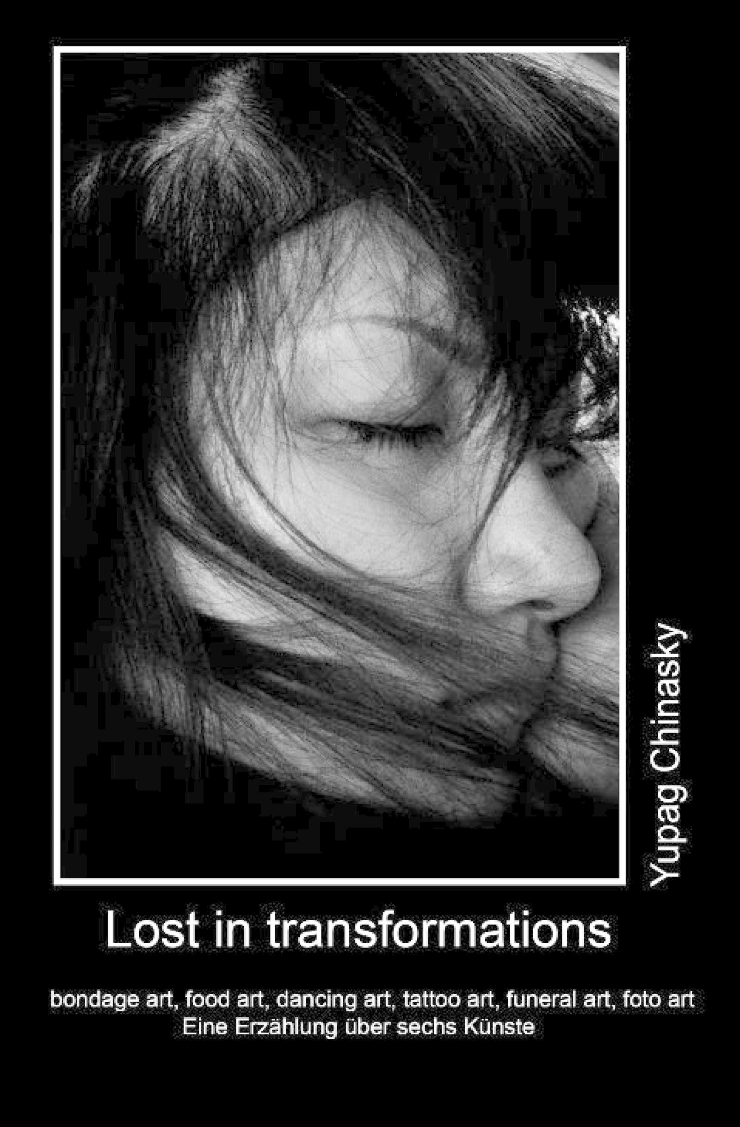 Обложка книги «Lost in transformations»