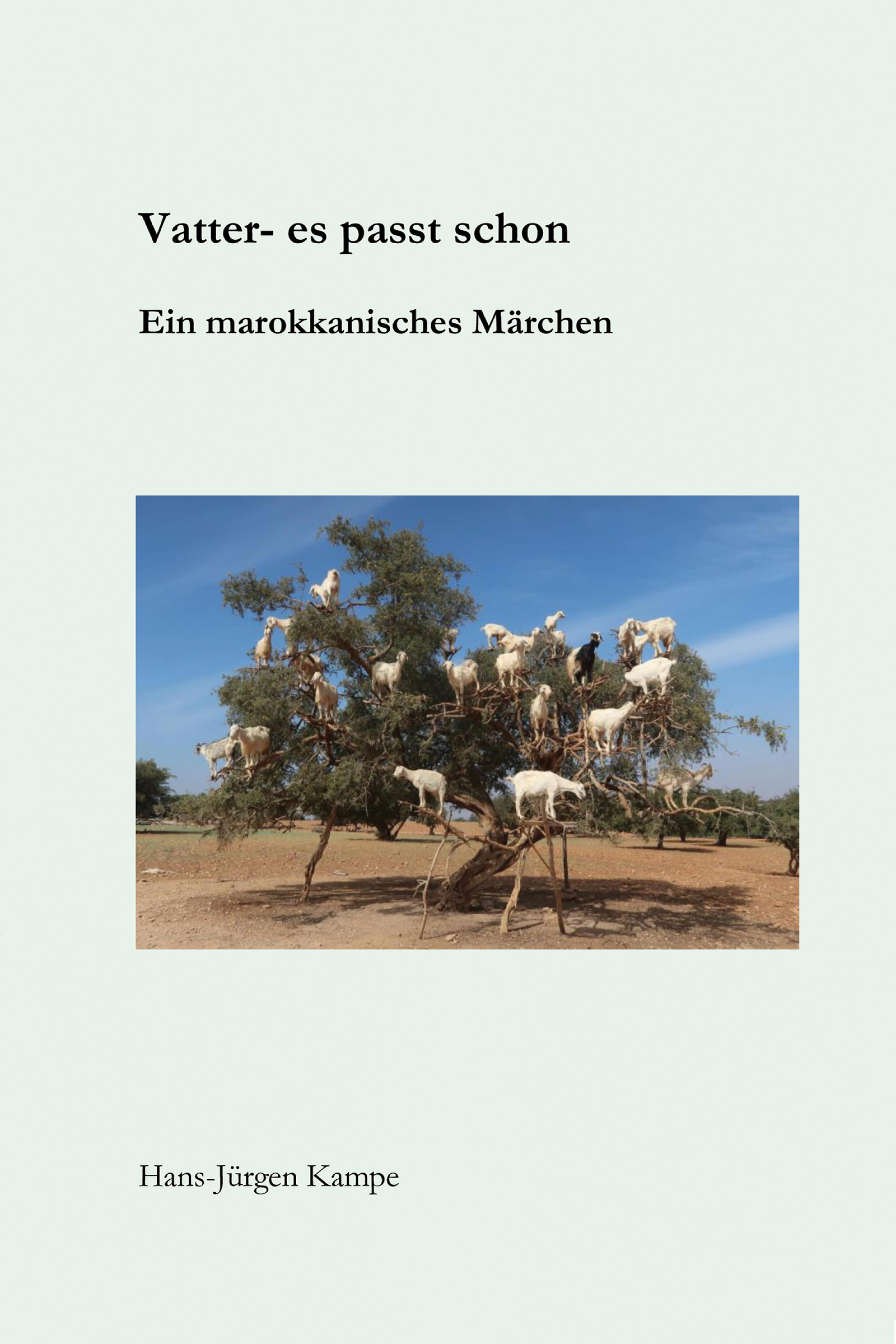 Обложка книги «Vatter - es passt schon»