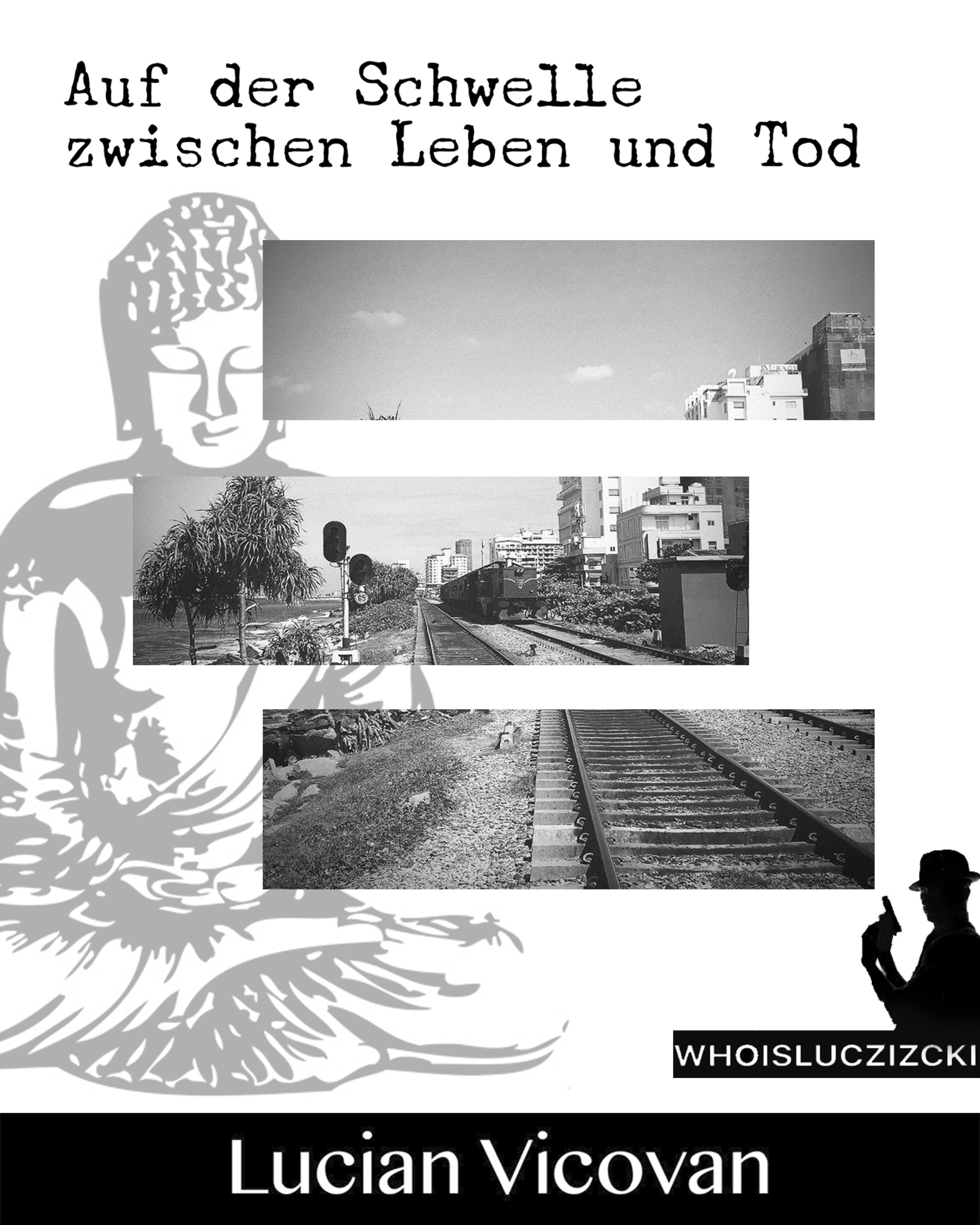 Обложка книги «Auf der Schwelle zwischen Leben und Tod»