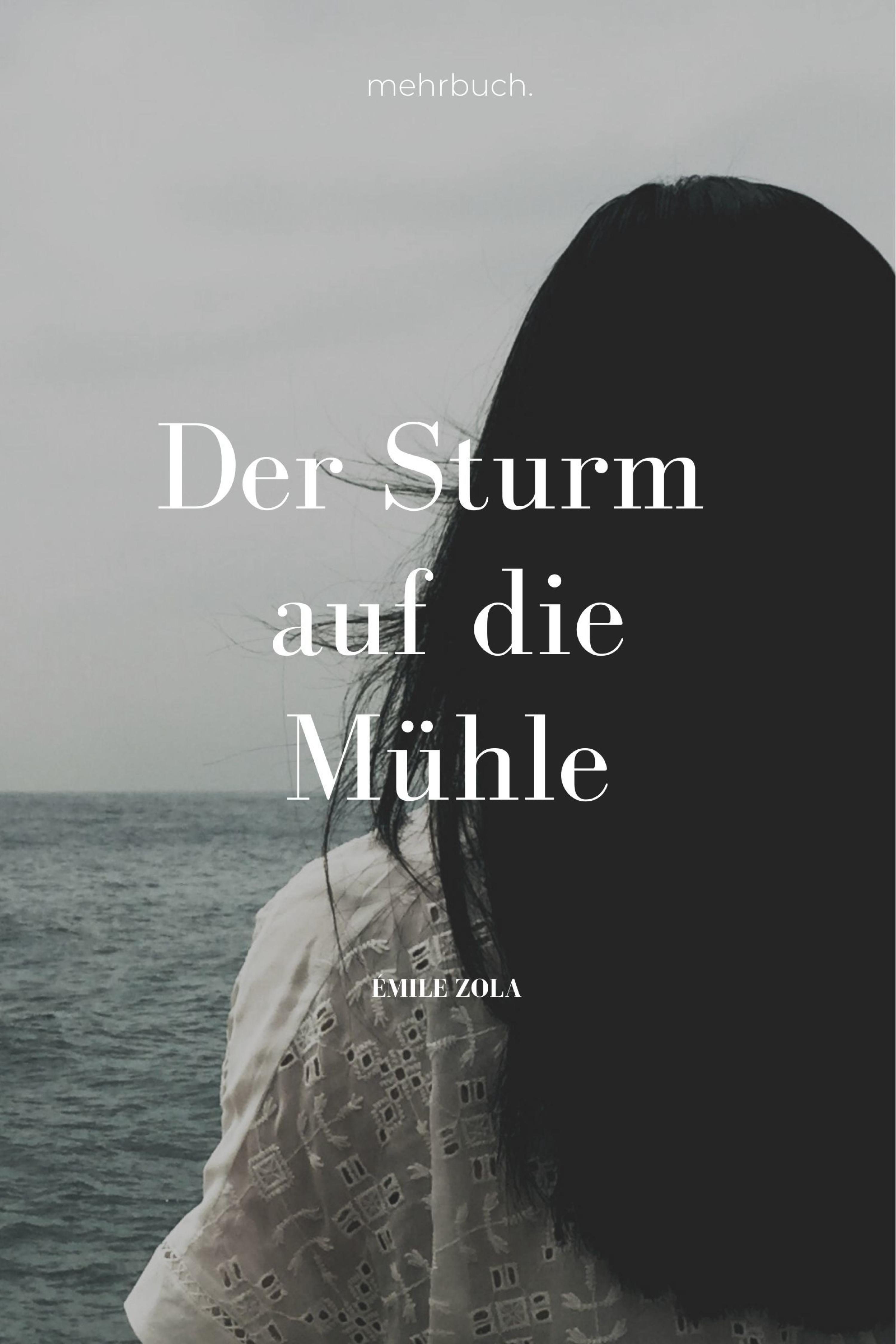Обложка книги «Der Sturm auf die Mühle»