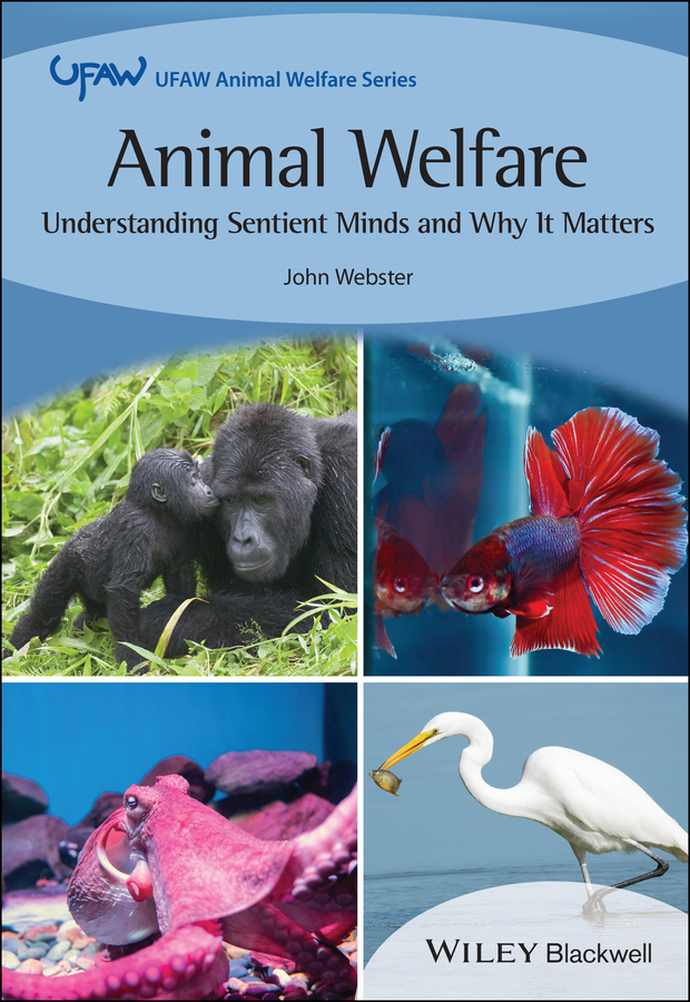 Обложка книги «Animal Welfare»