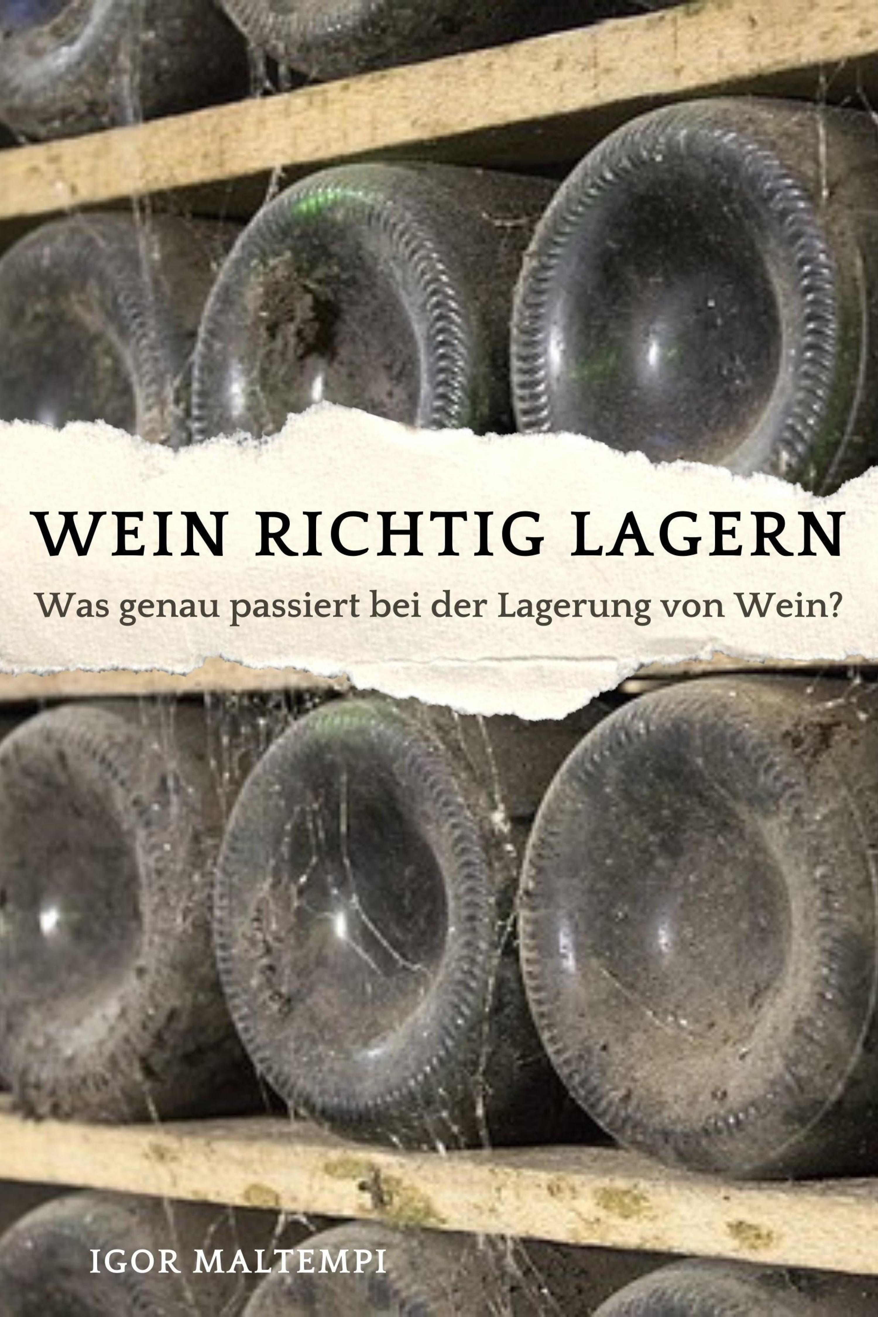 Обложка книги «Wein richtig lagern»