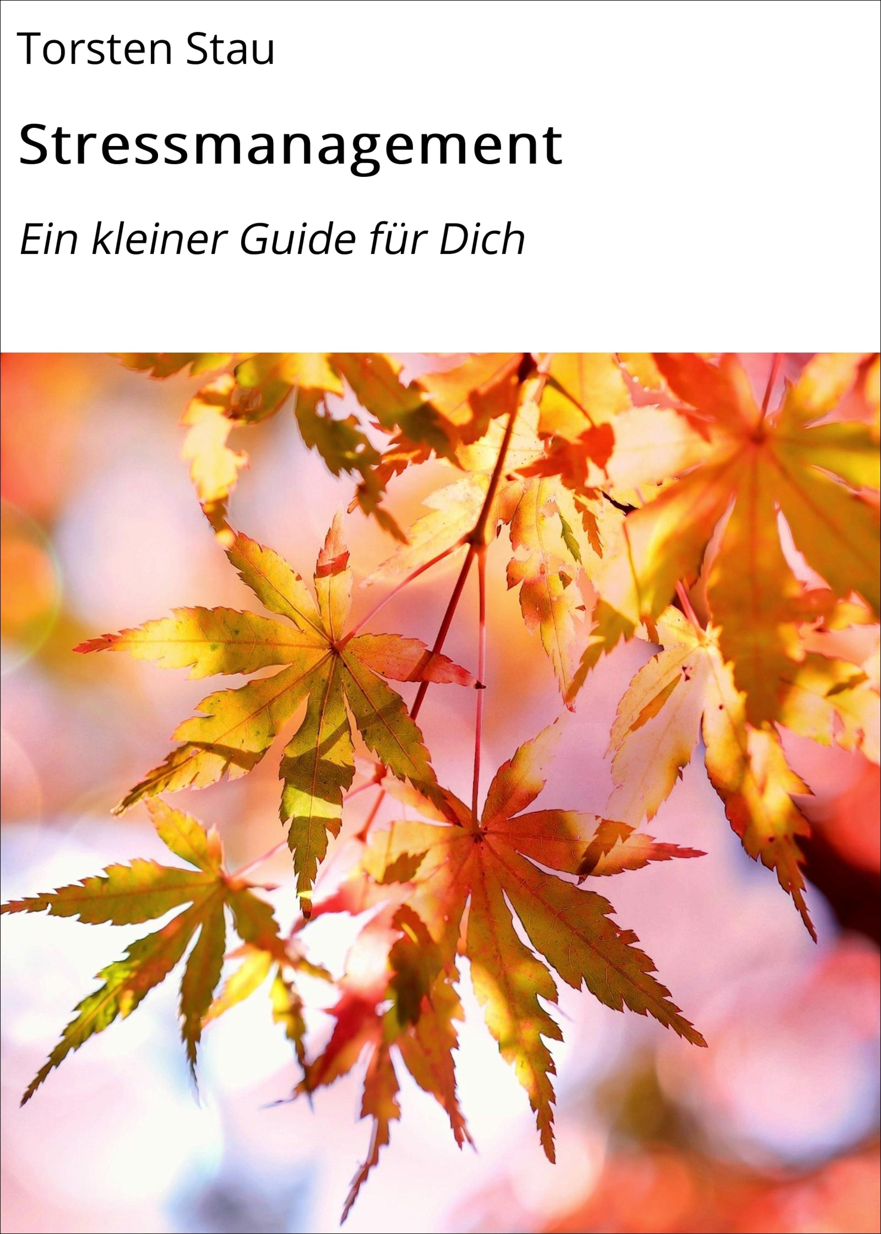 Обложка книги «Stressmanagement»