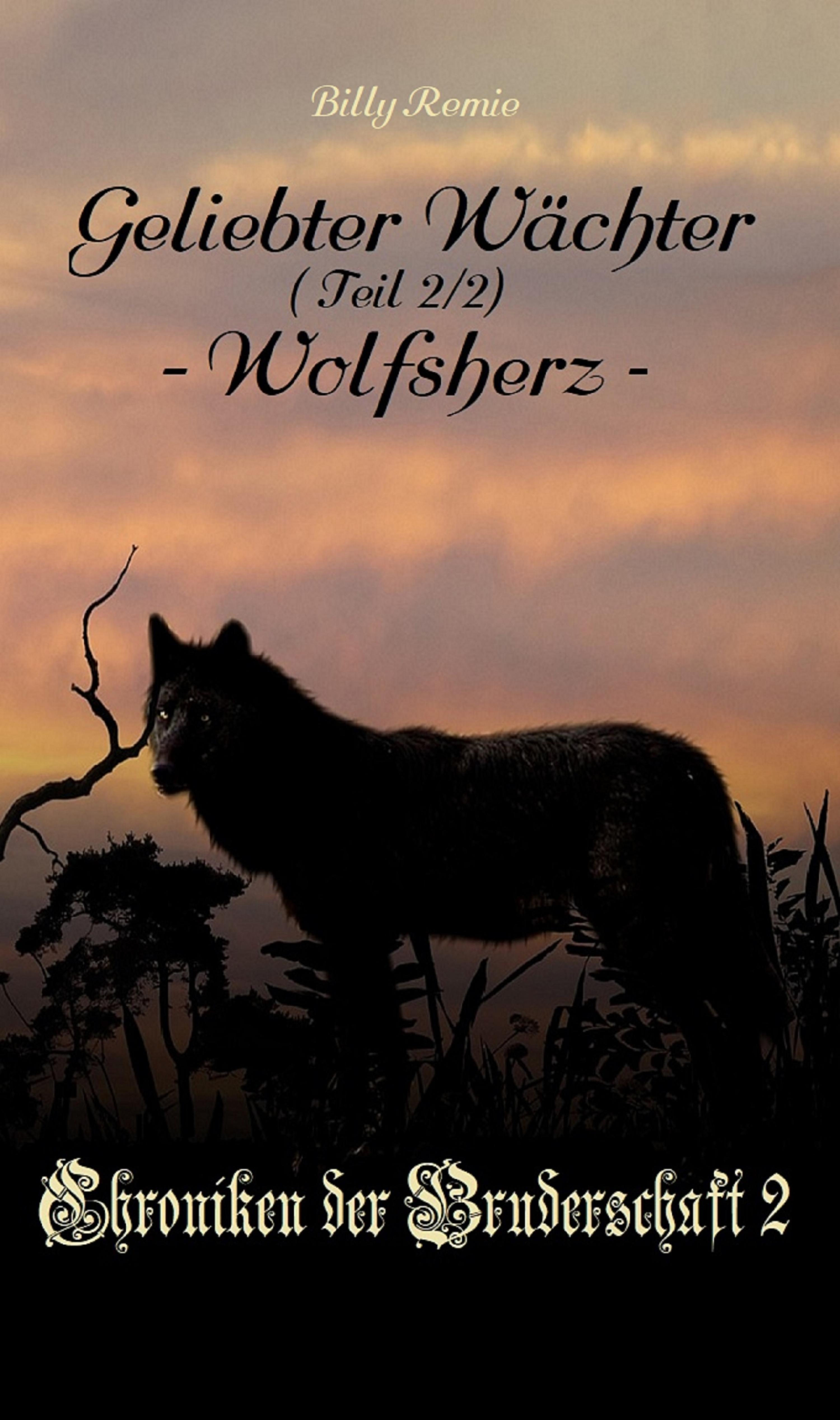 Обложка книги «Geliebter Wächter 2: Wolfsherz»