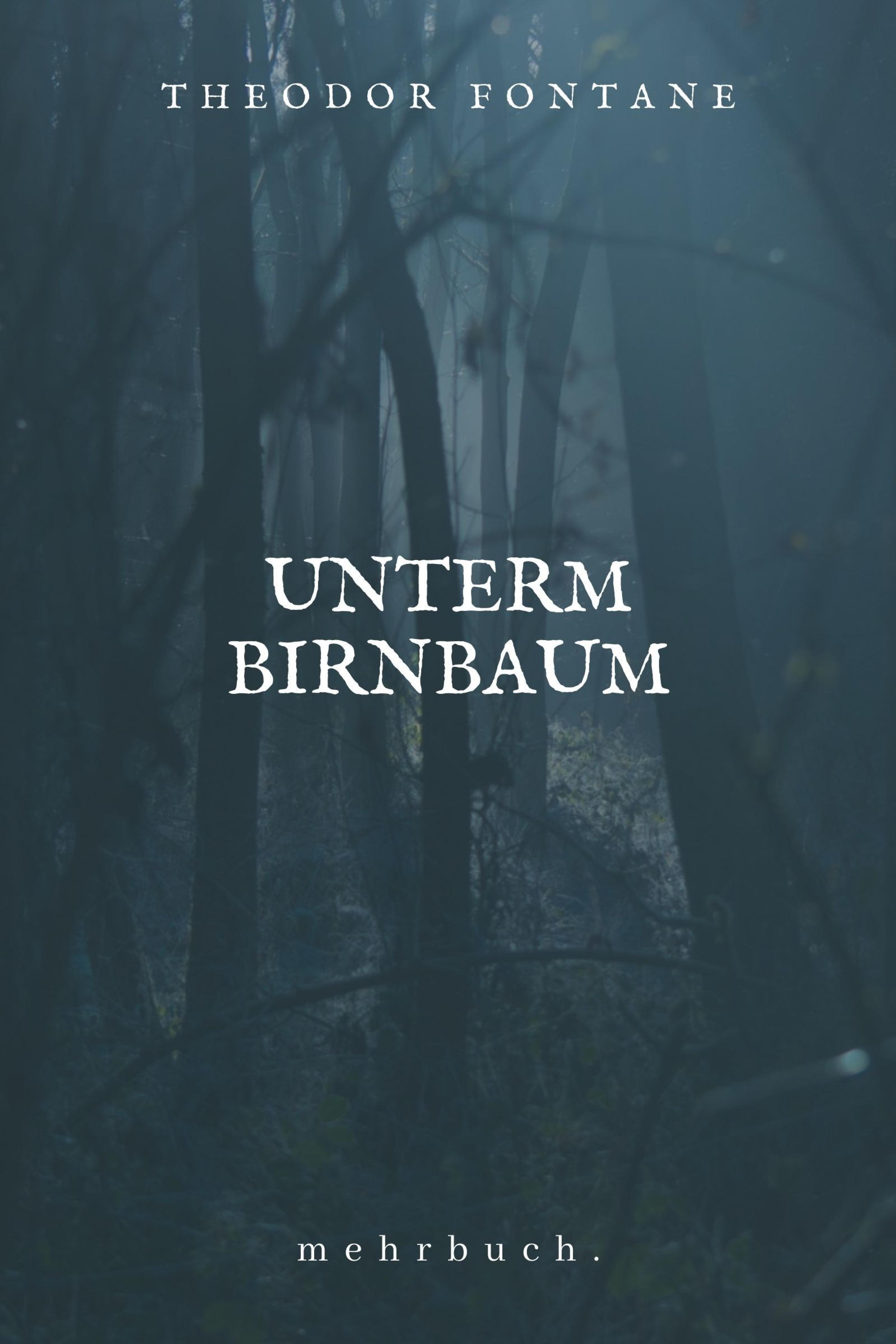 Обложка книги «Unterm Birnbaum»