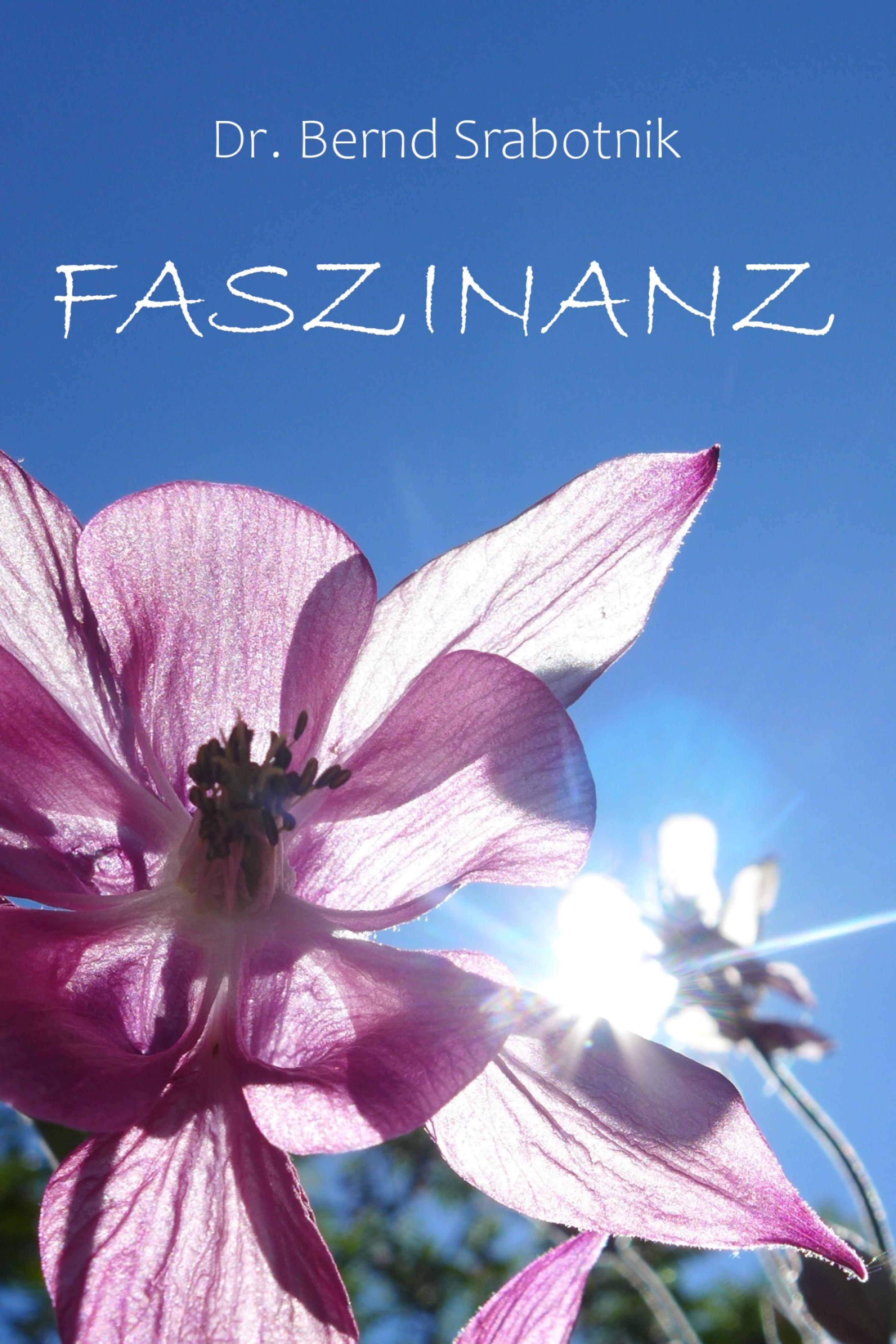 Обложка книги «Faszinanz»