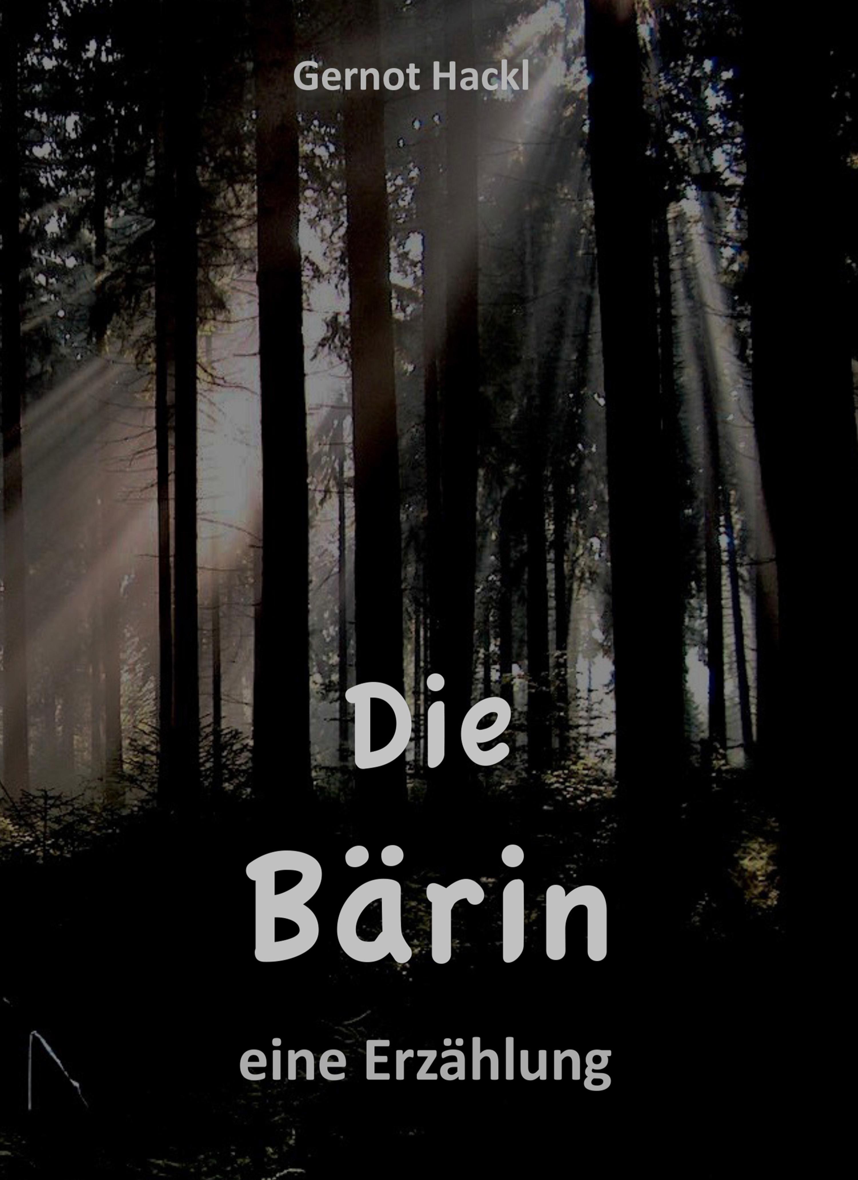 Обложка книги «DIE BÄRIN»