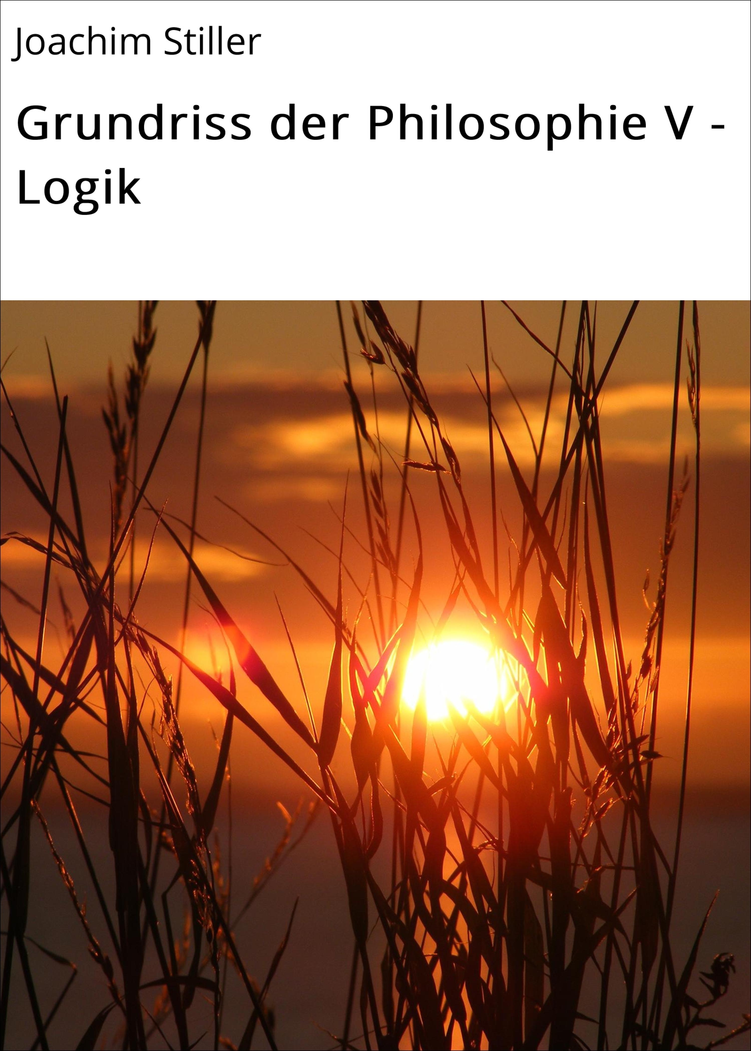 Обложка книги «Grundriss der Philosophie V - Logik»
