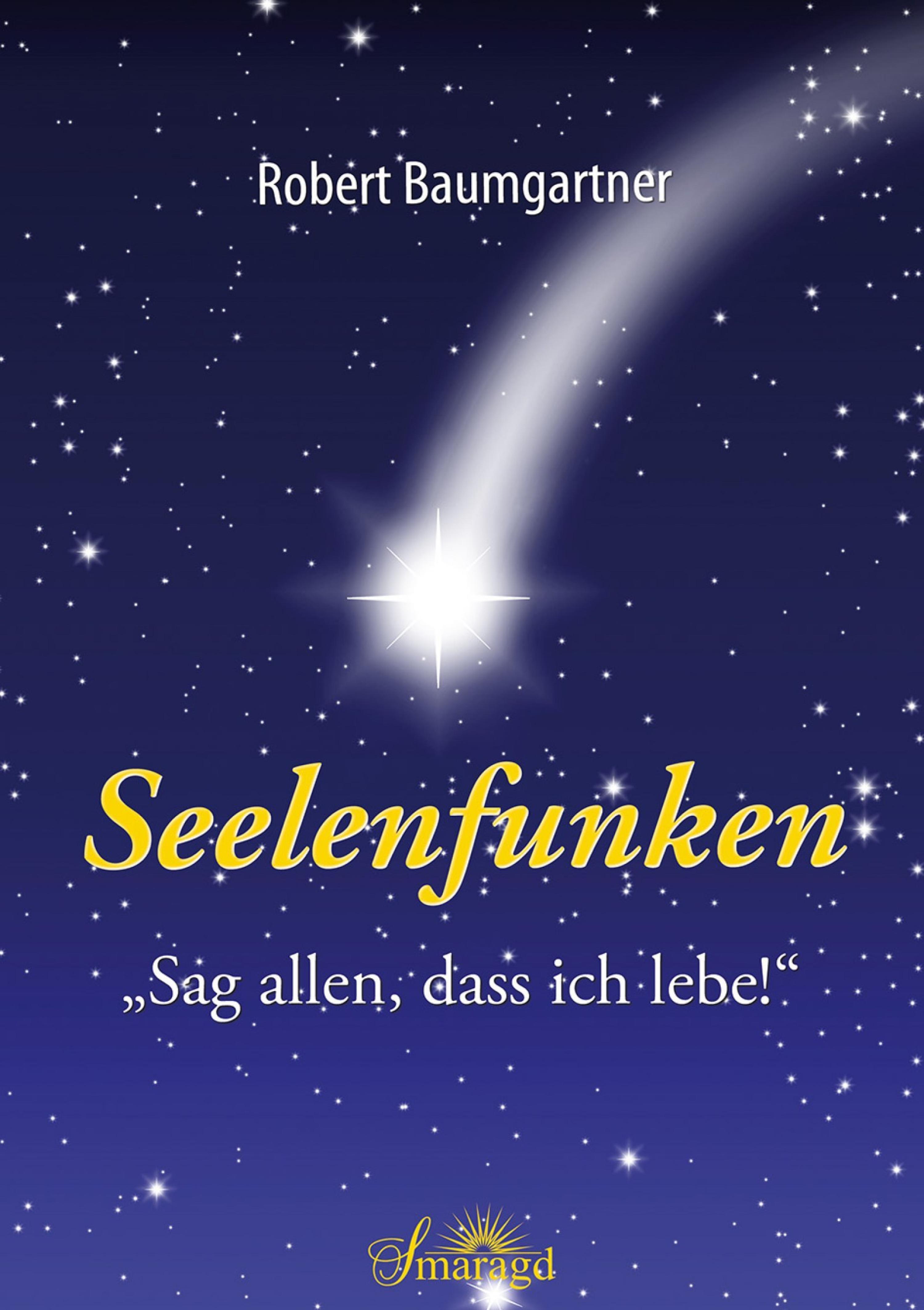 Обложка книги «Seelenfunken»