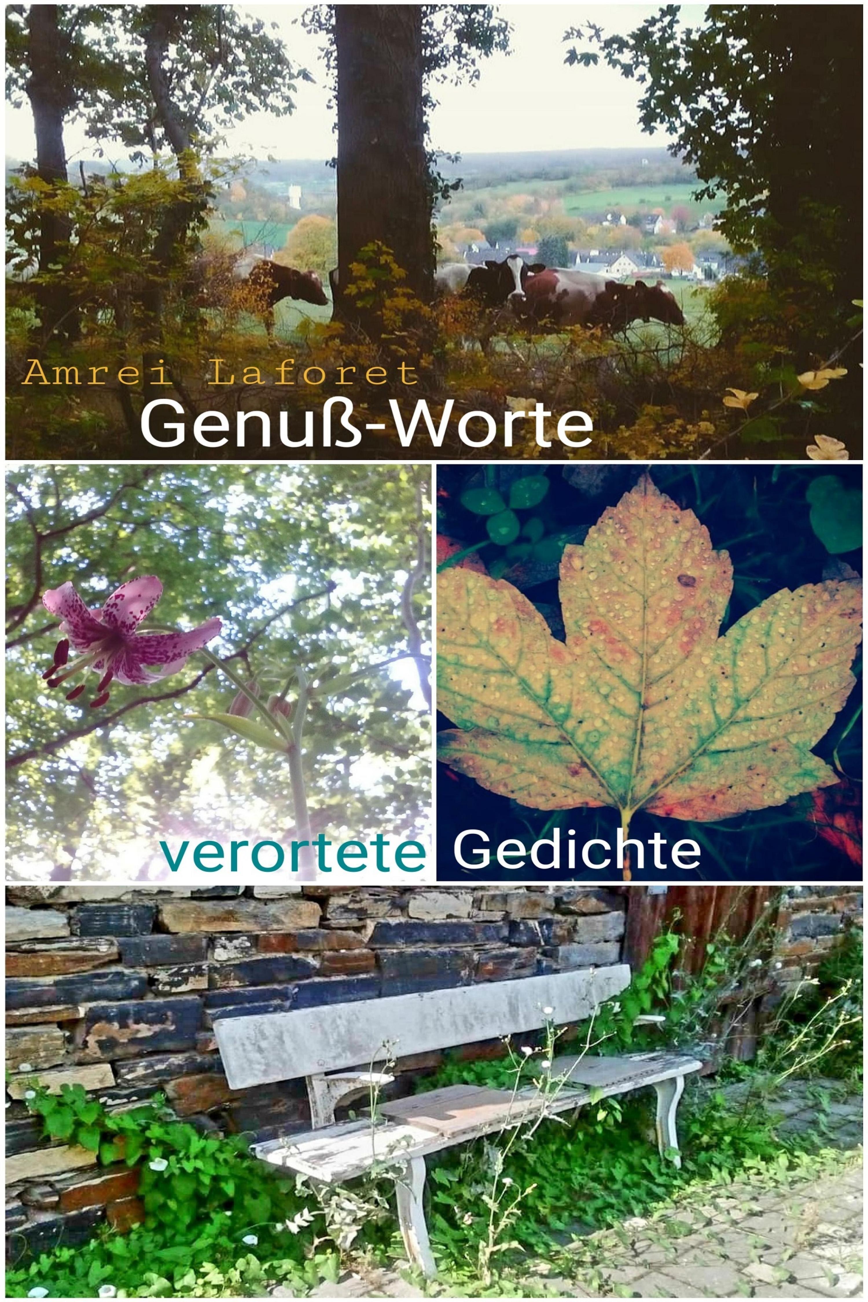 Обложка книги «Genußworte»