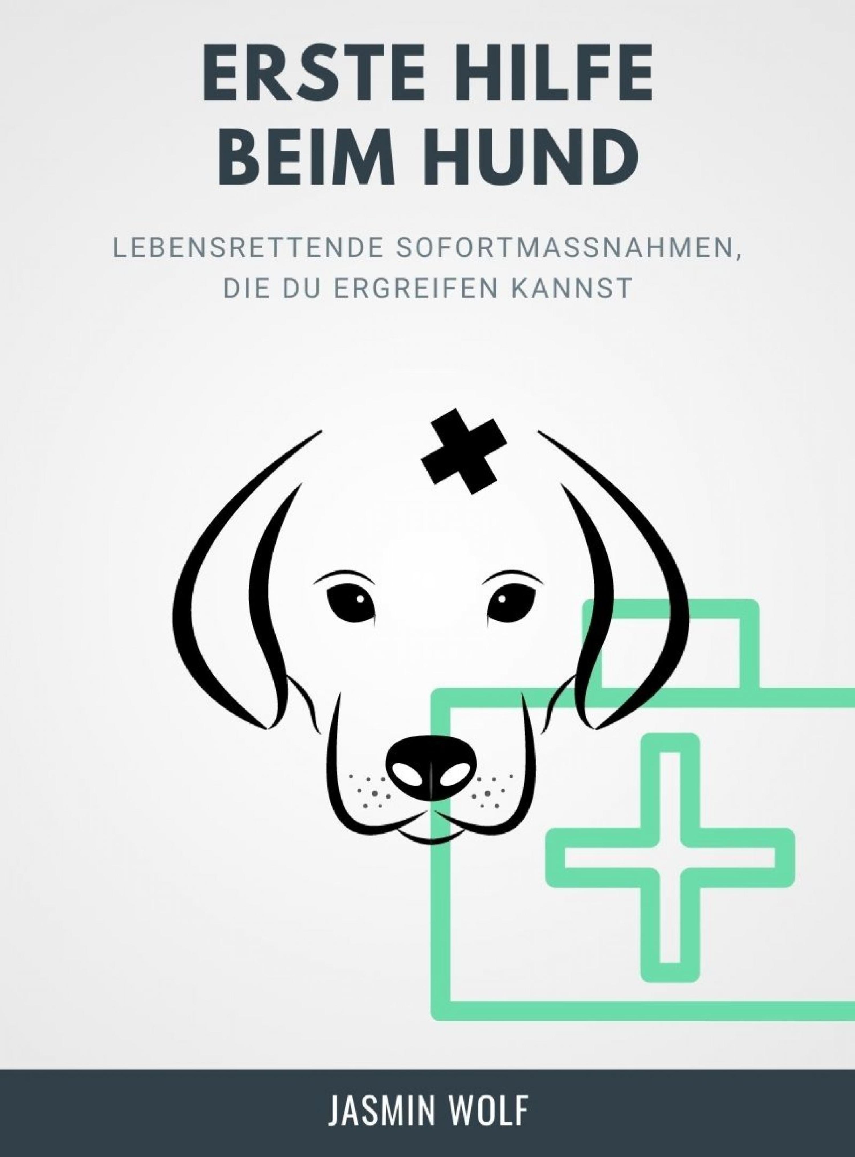 Обложка книги «Erste Hilfe beim Hund»