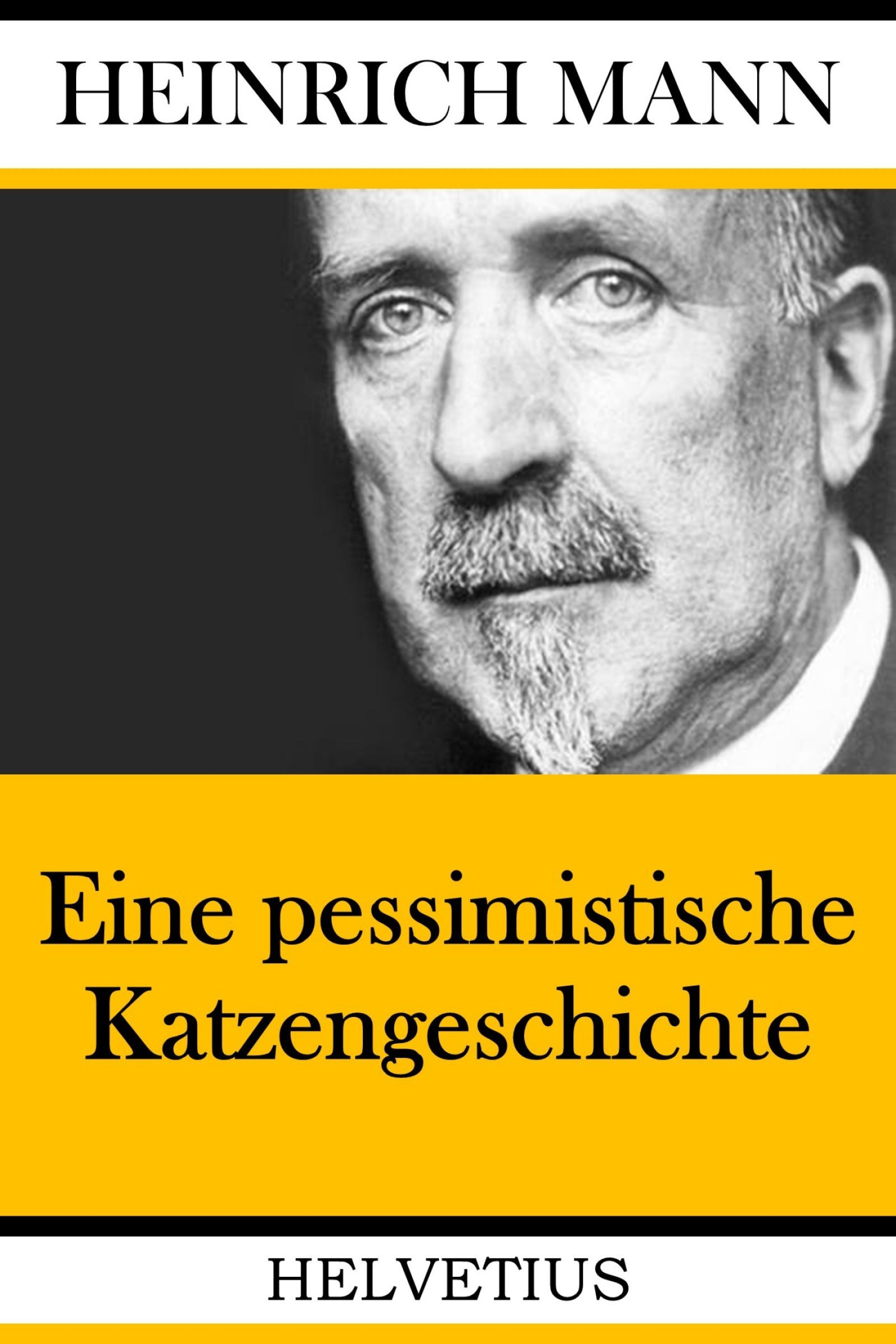 Обложка книги «Eine pessimistische Katzengeschichte»