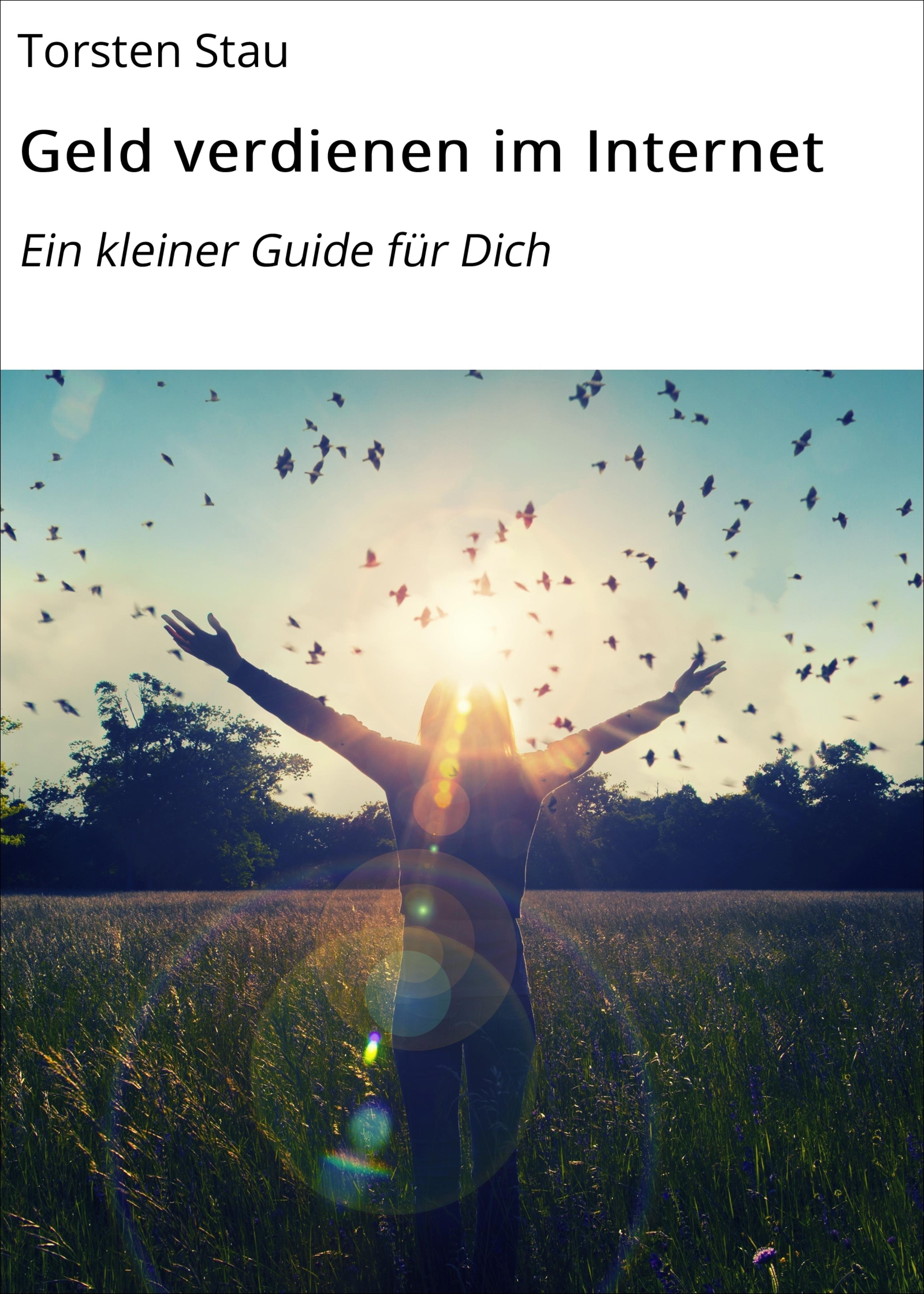 Обложка книги «Geld verdienen im Internet»