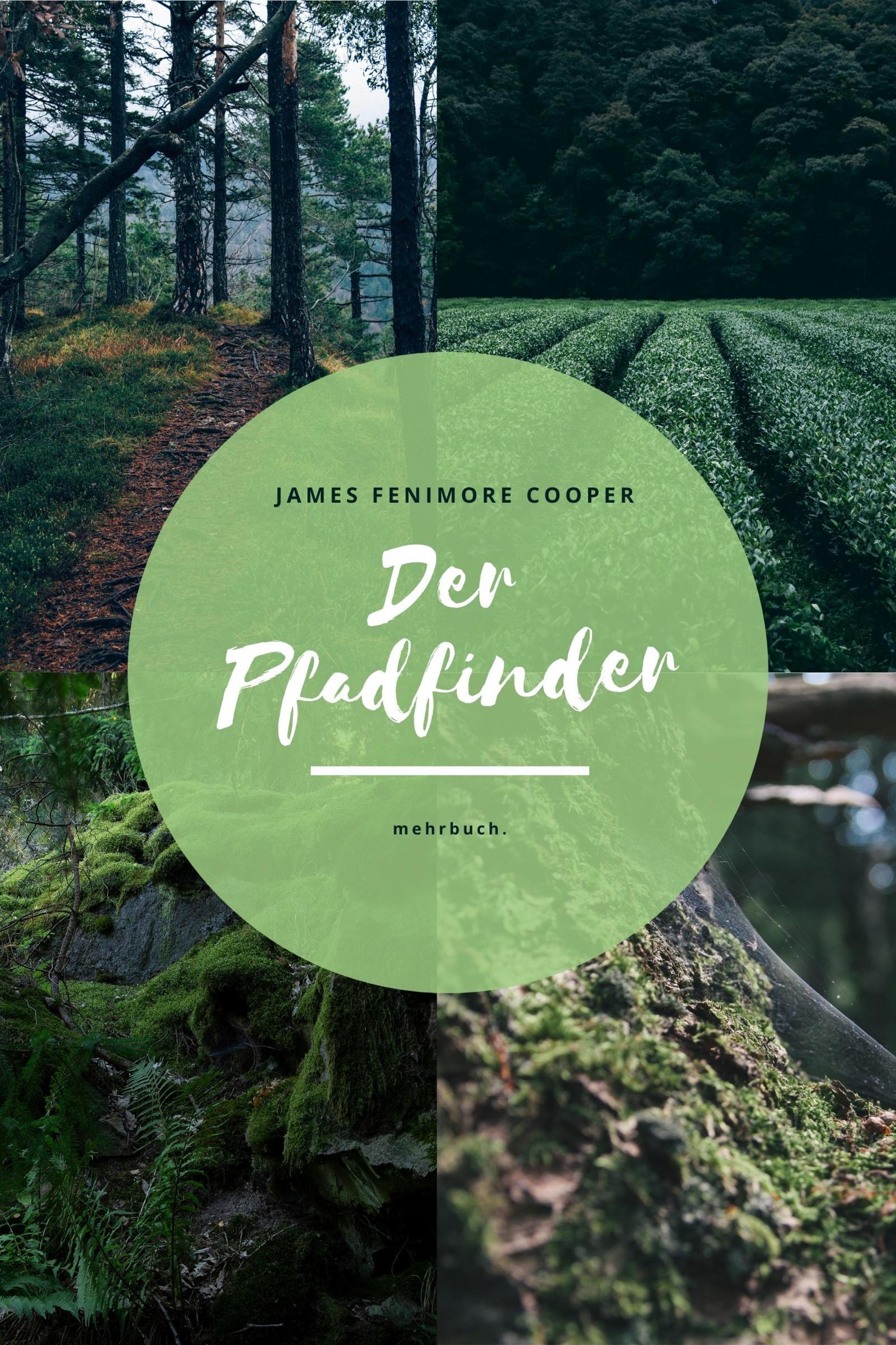 Обложка книги «Der Pfadfinder»
