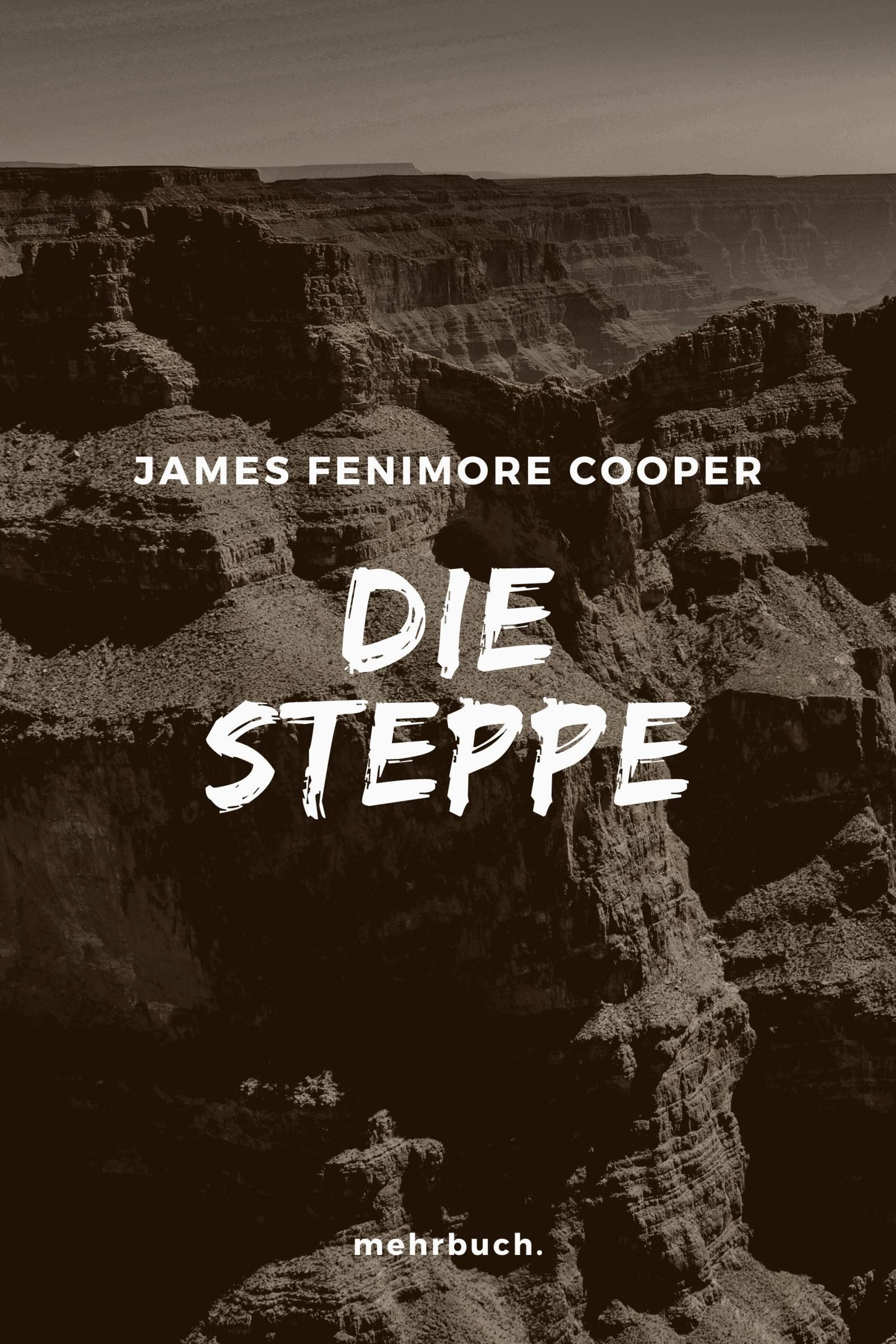 Обложка книги «Die Steppe»