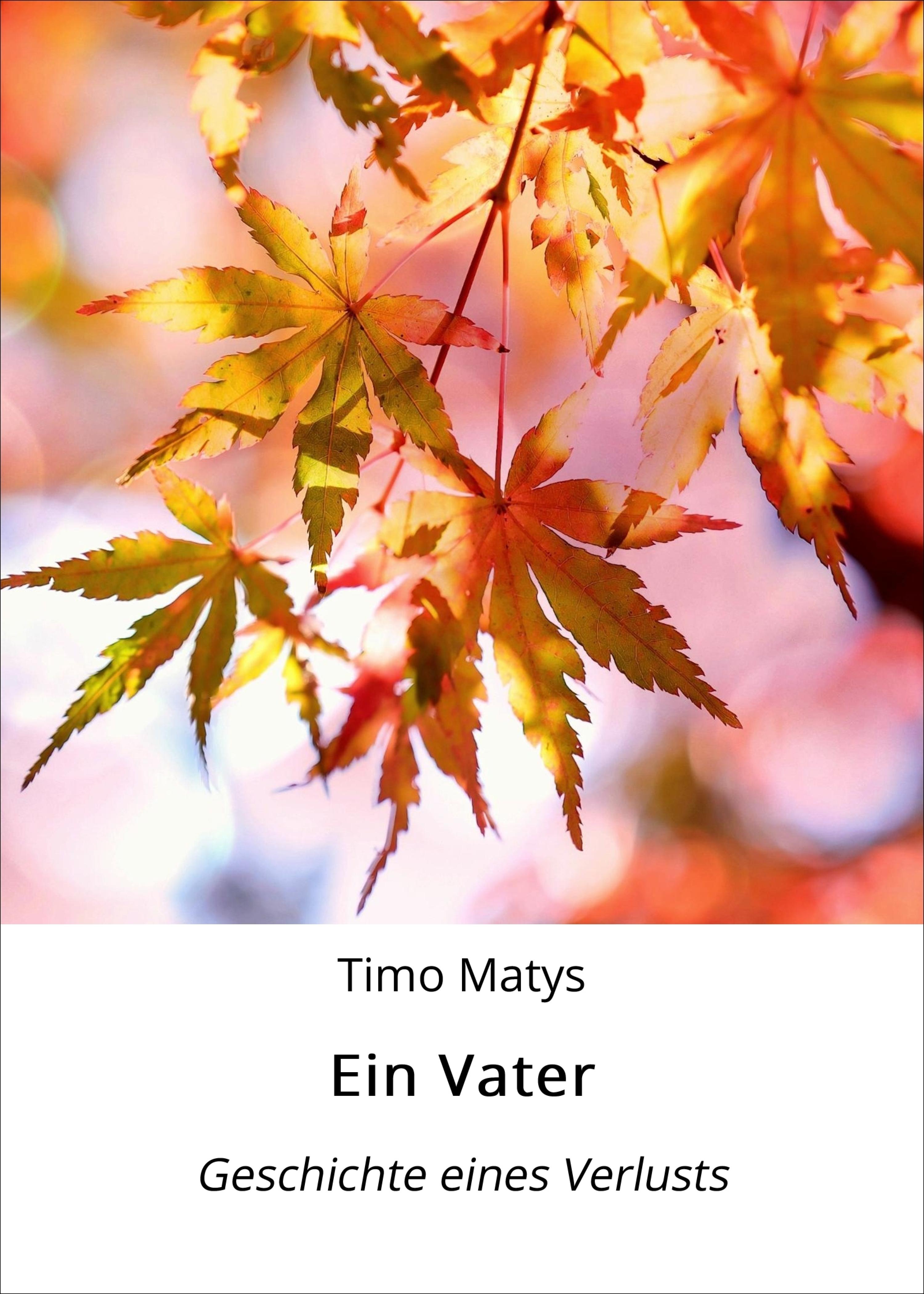 Обложка книги «Ein Vater»