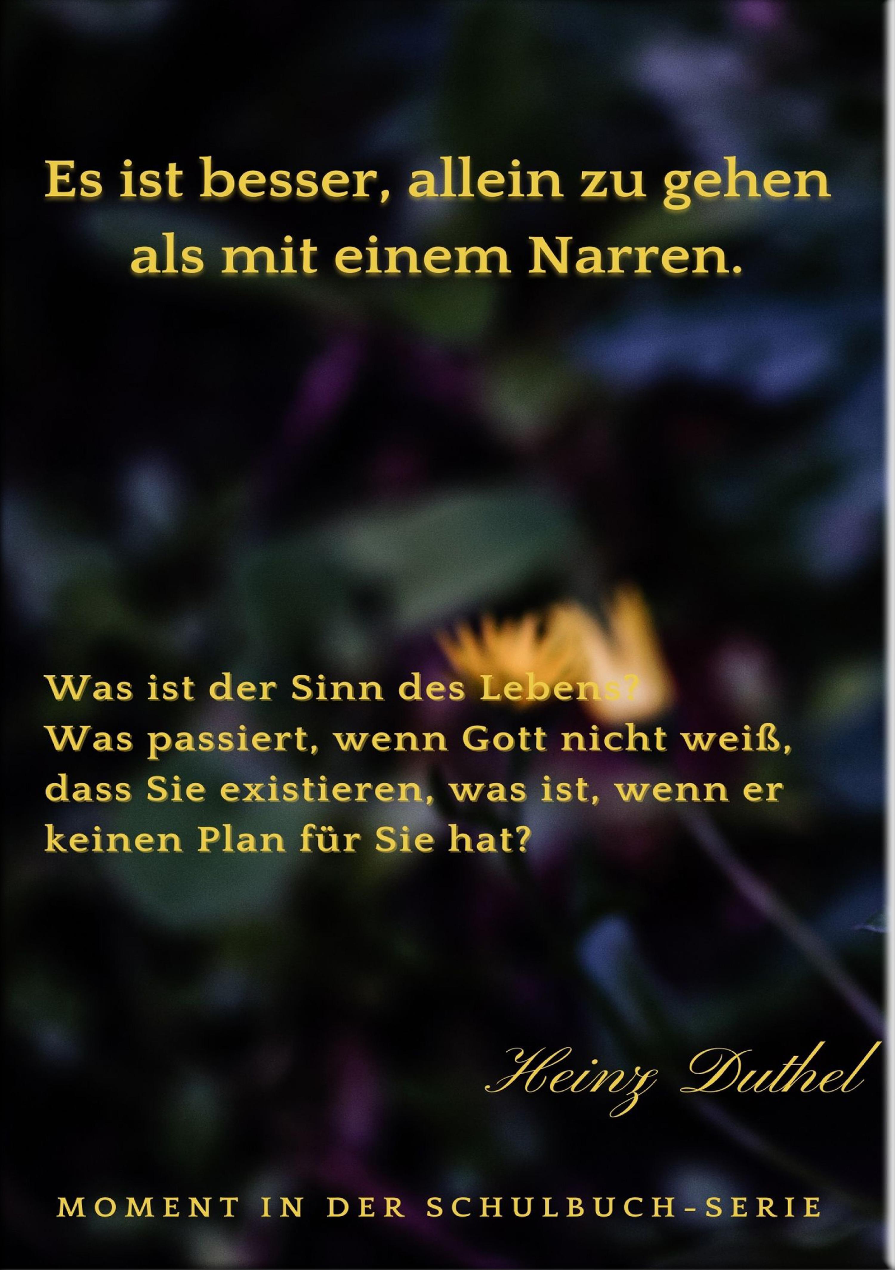 Обложка книги «Es ist besser, allein zu gehen als mit einem Narren. Was ist der Sinn des Lebens?»
