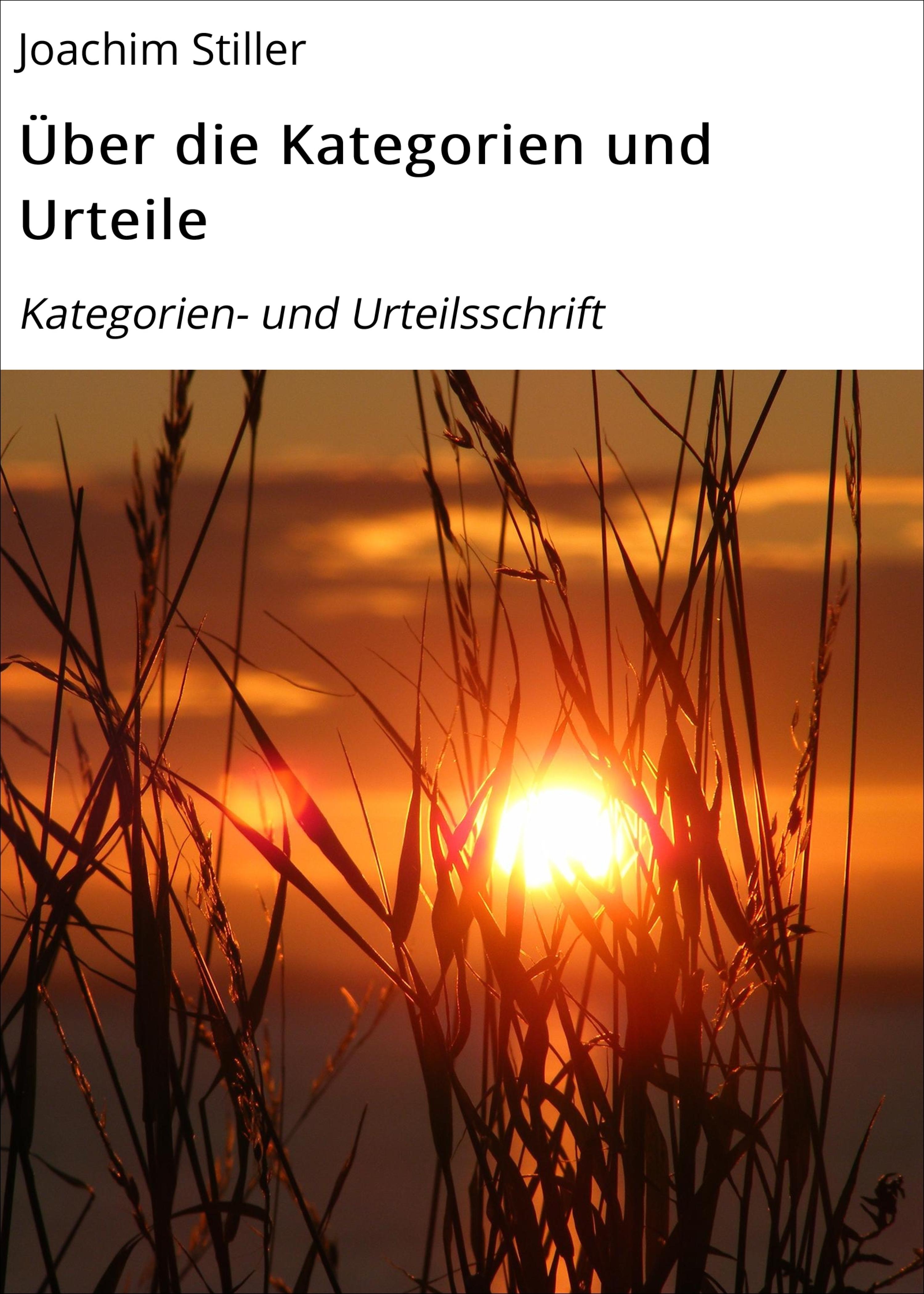 Обложка книги «Über die Kategorien und Urteile»