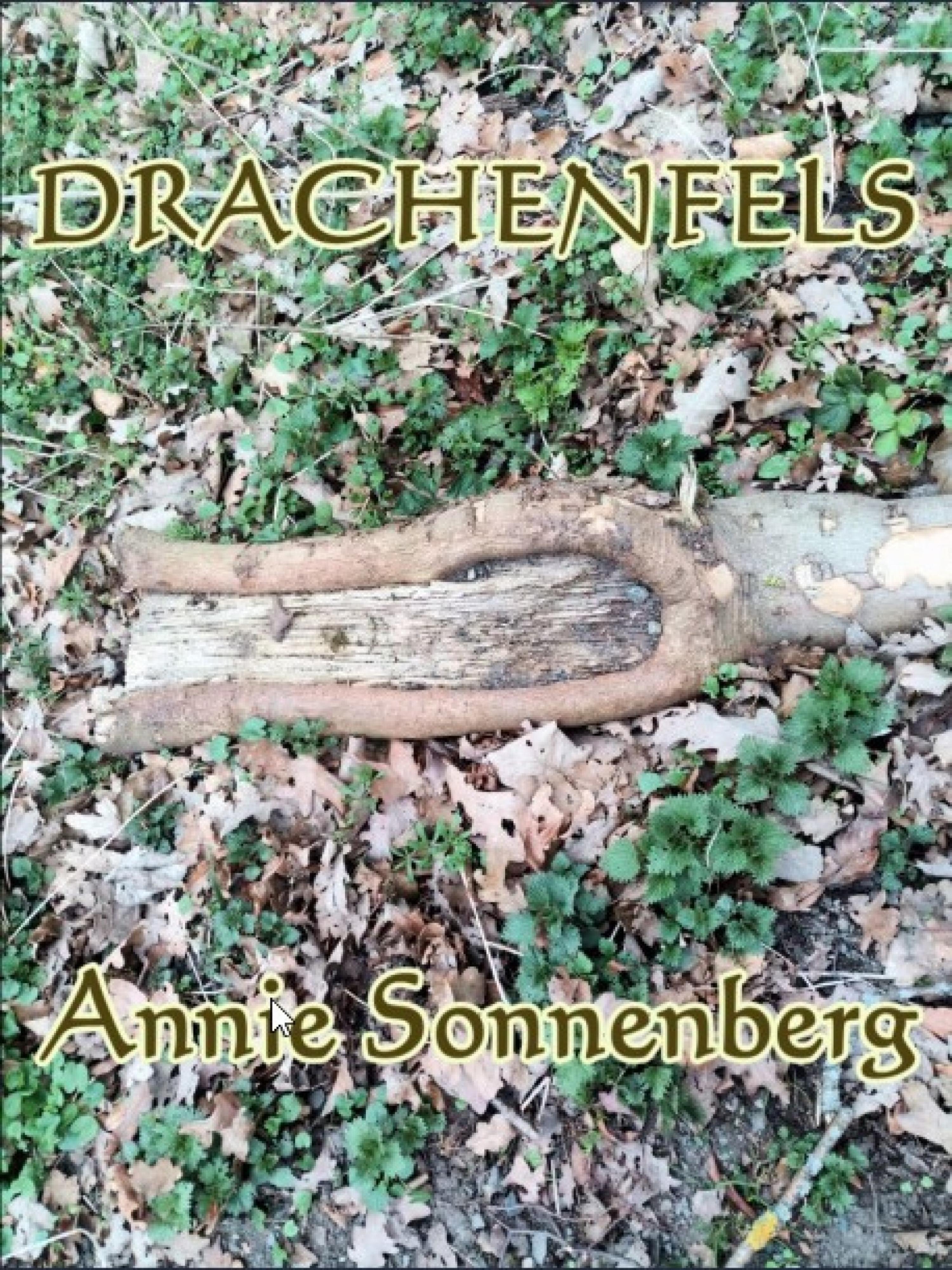 Обложка книги «Drachenfels»