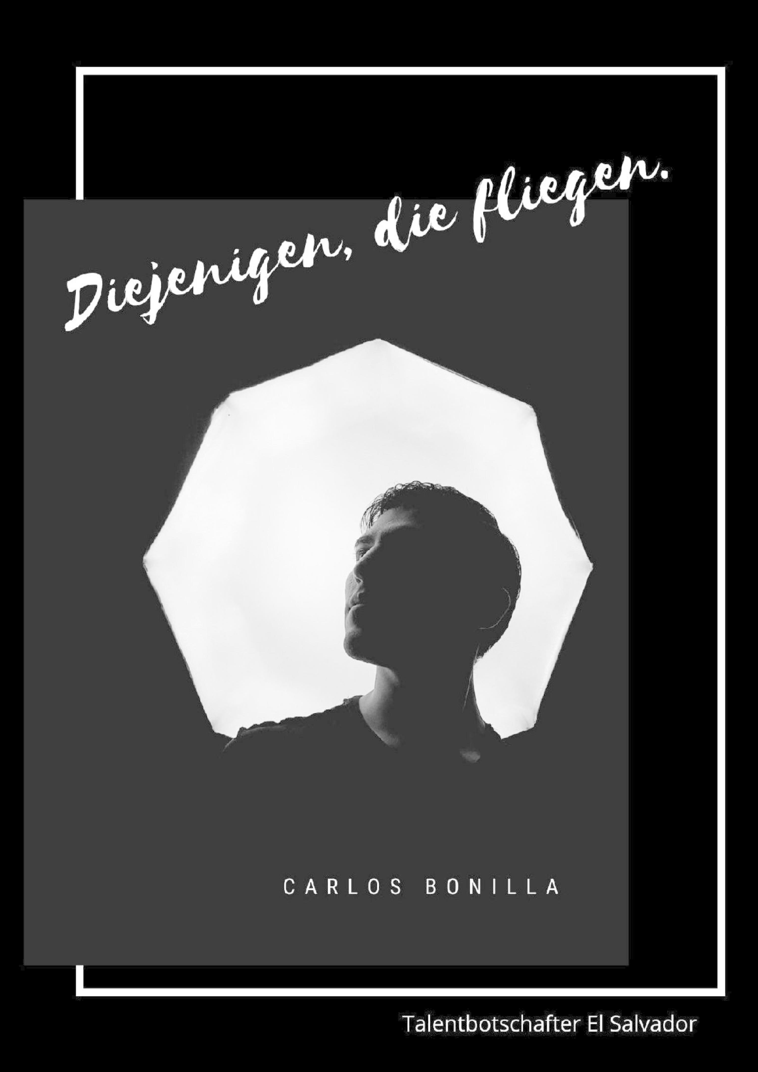 Обложка книги «Diejenigen die fliegen»